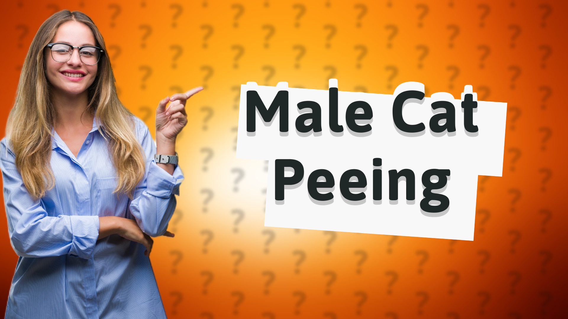 Male Cat Peeing