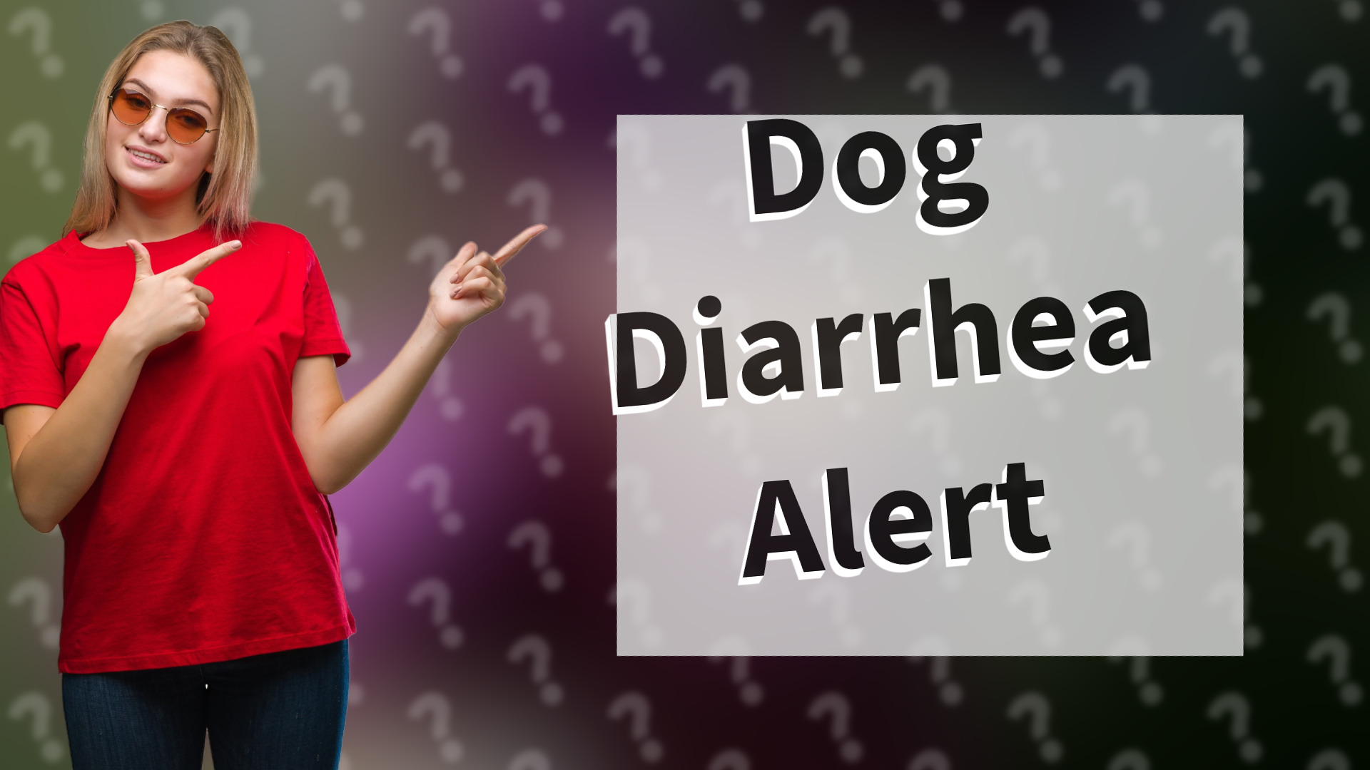 Dog Diarrhea Alert