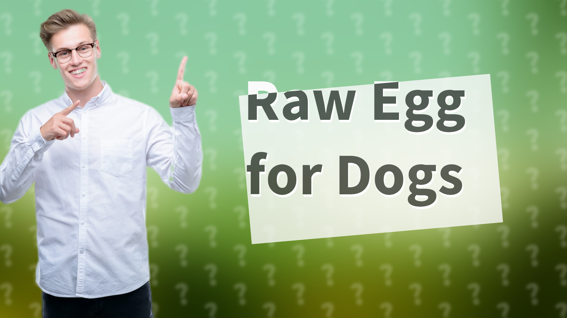 Raw Egg for Dogs
