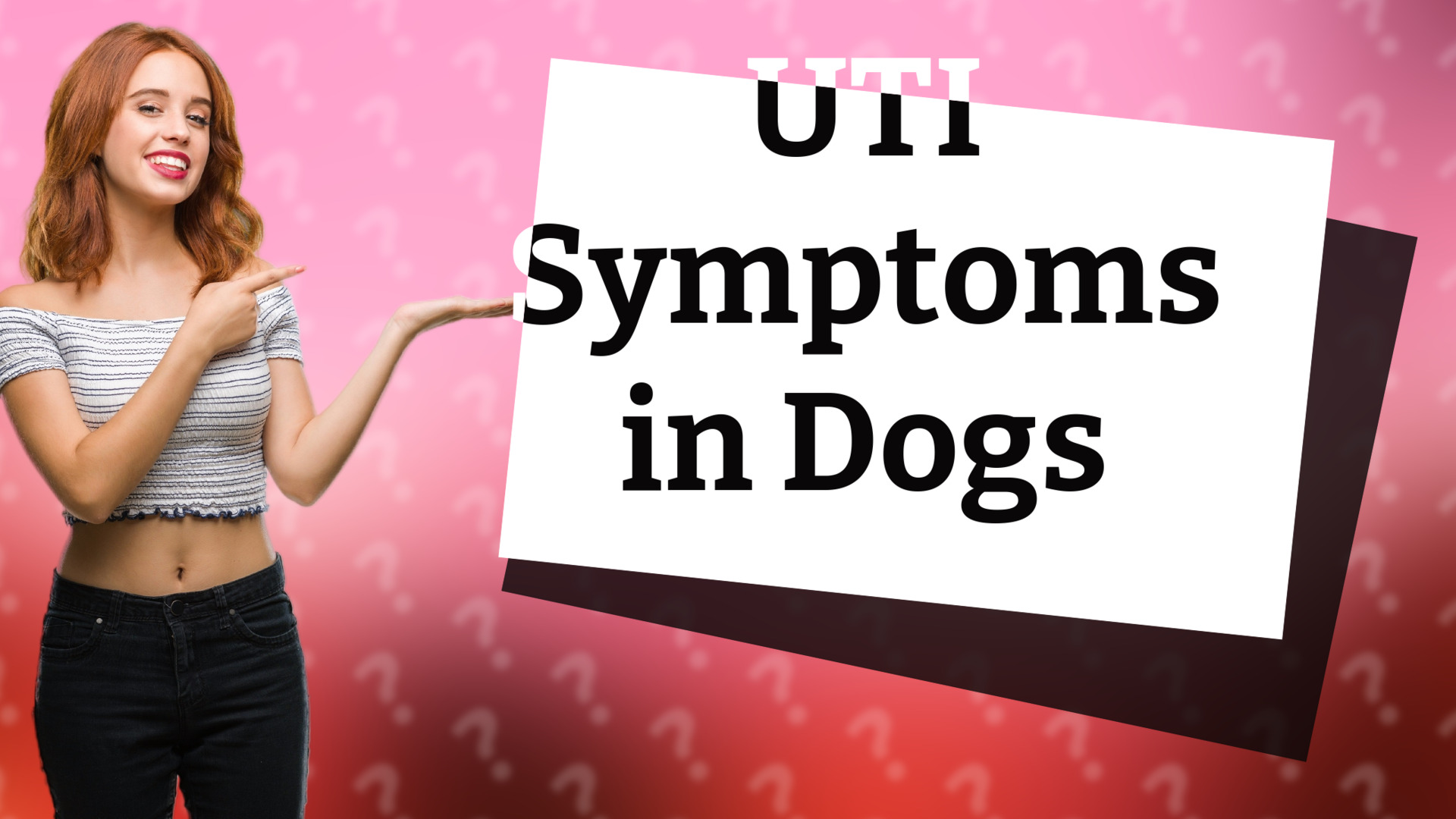 UTI Symptoms in Dogs