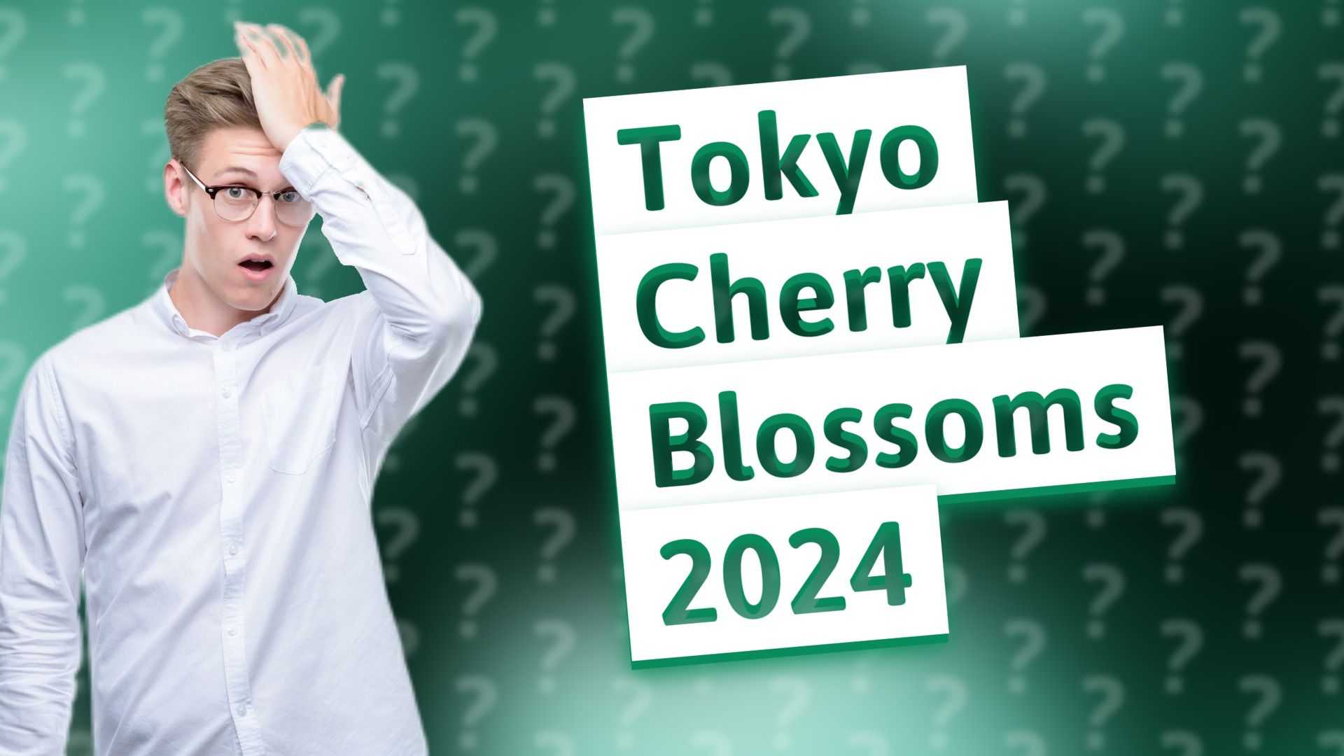 Tokyo Cherry Blossoms 2024