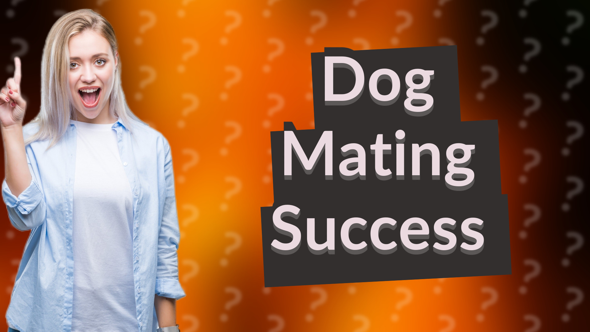 Dog Mating Success