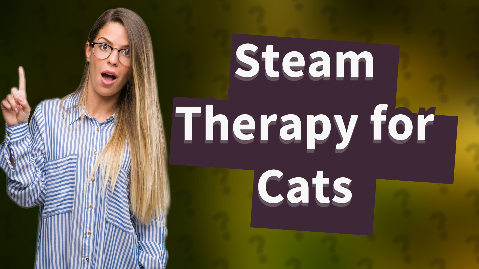 Steam Therapy for Cats