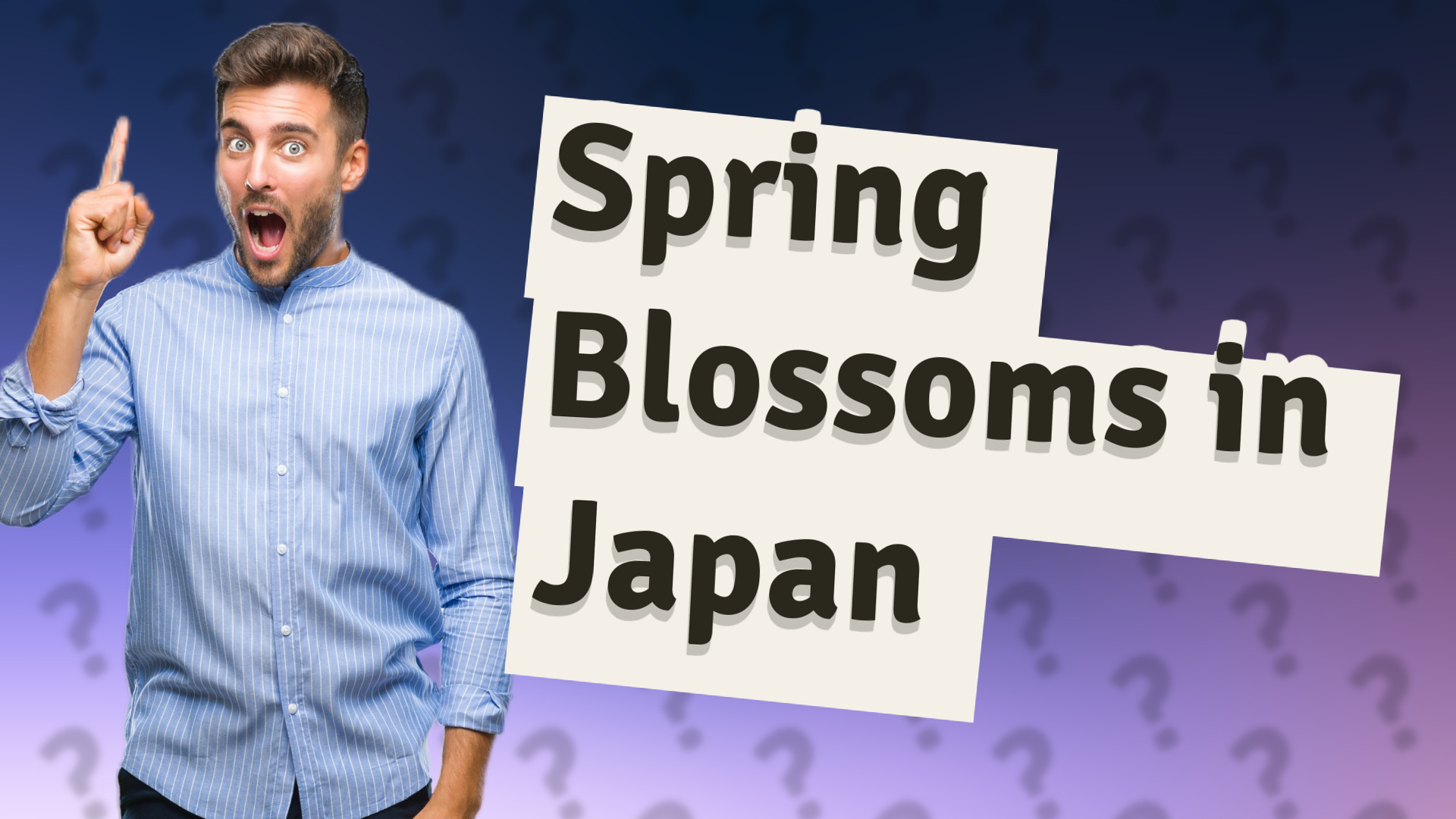 Spring Blossoms in Japan