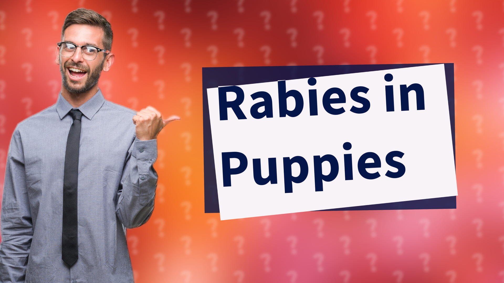 Rabies in Puppies