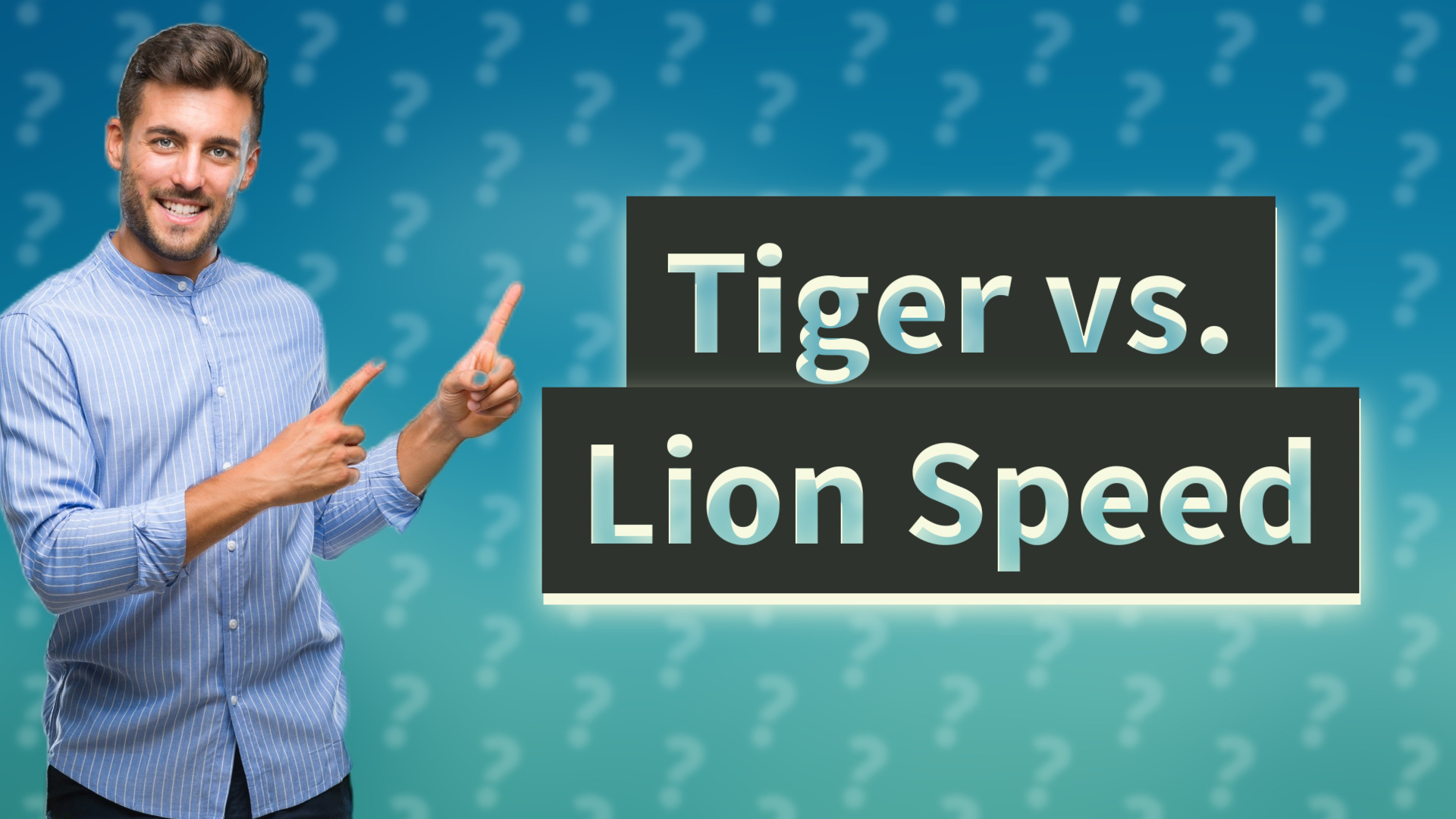 Tiger vs. Lion Speed