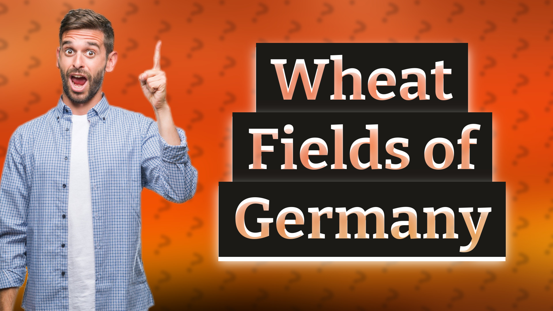 Wheat Fields of Germany