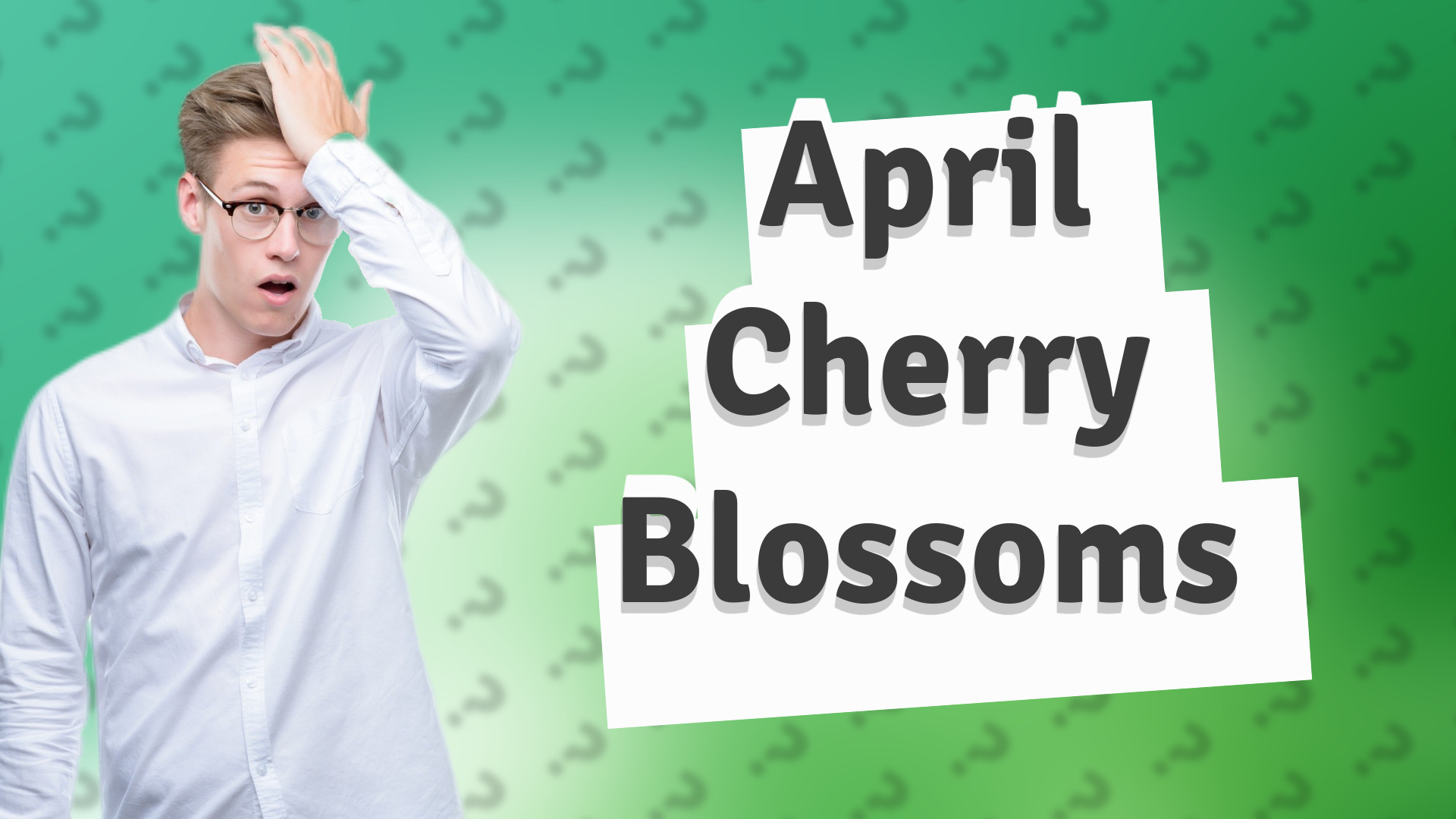 April Cherry Blossoms