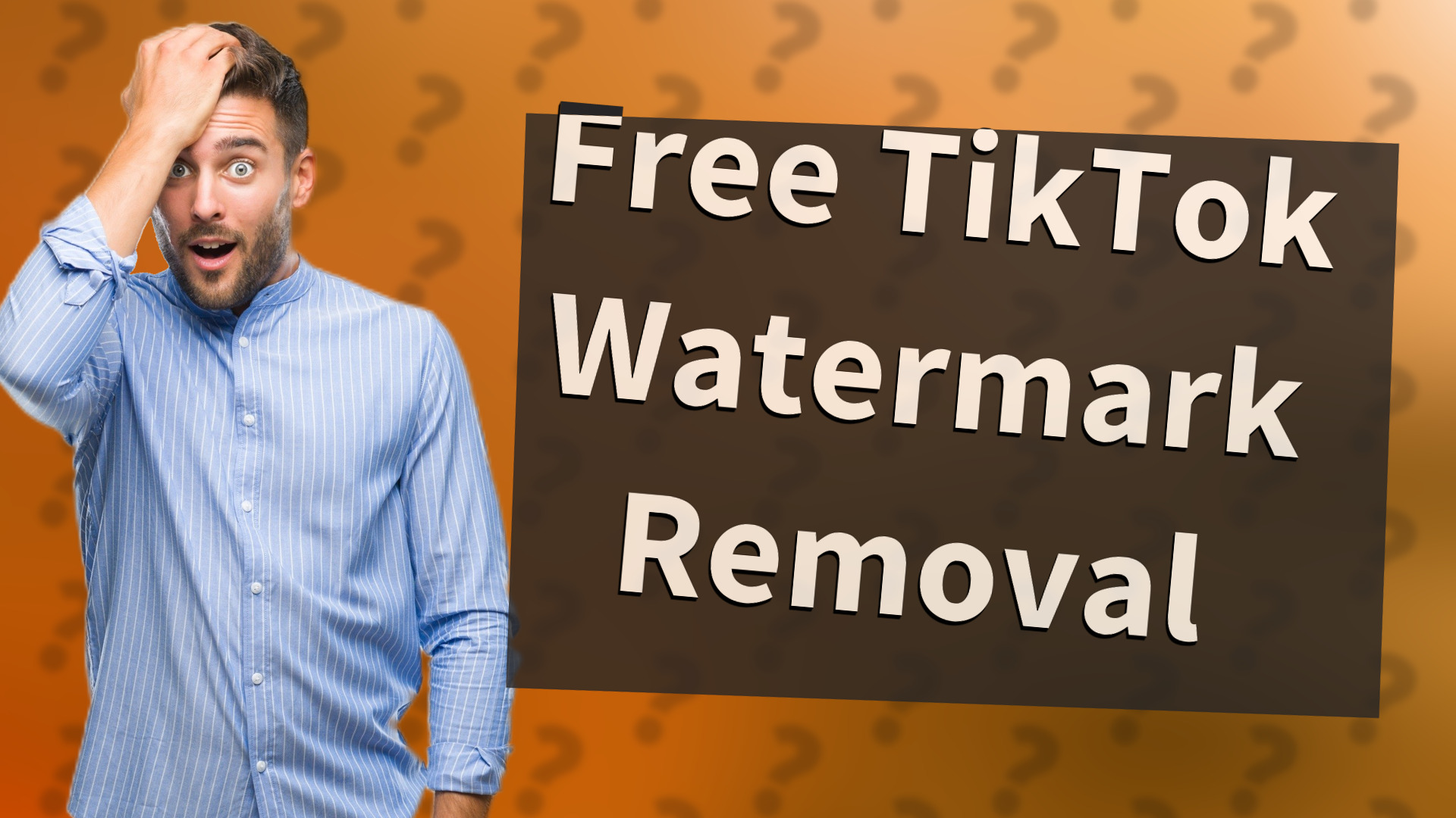 Free TikTok Watermark Removal
