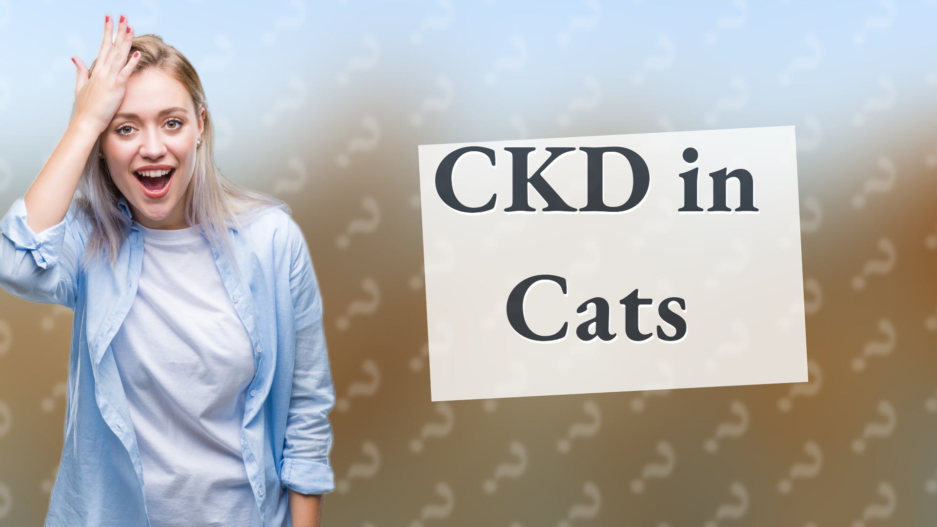 CKD in Cats