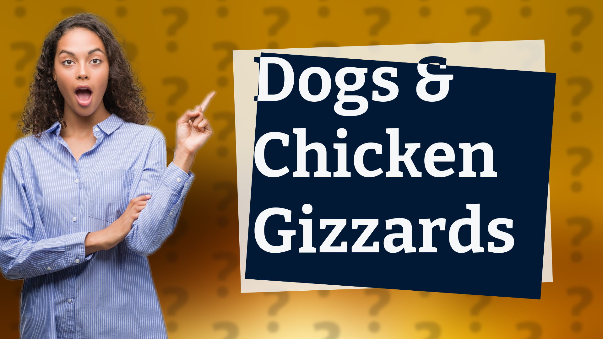 Dogs & Chicken Gizzards