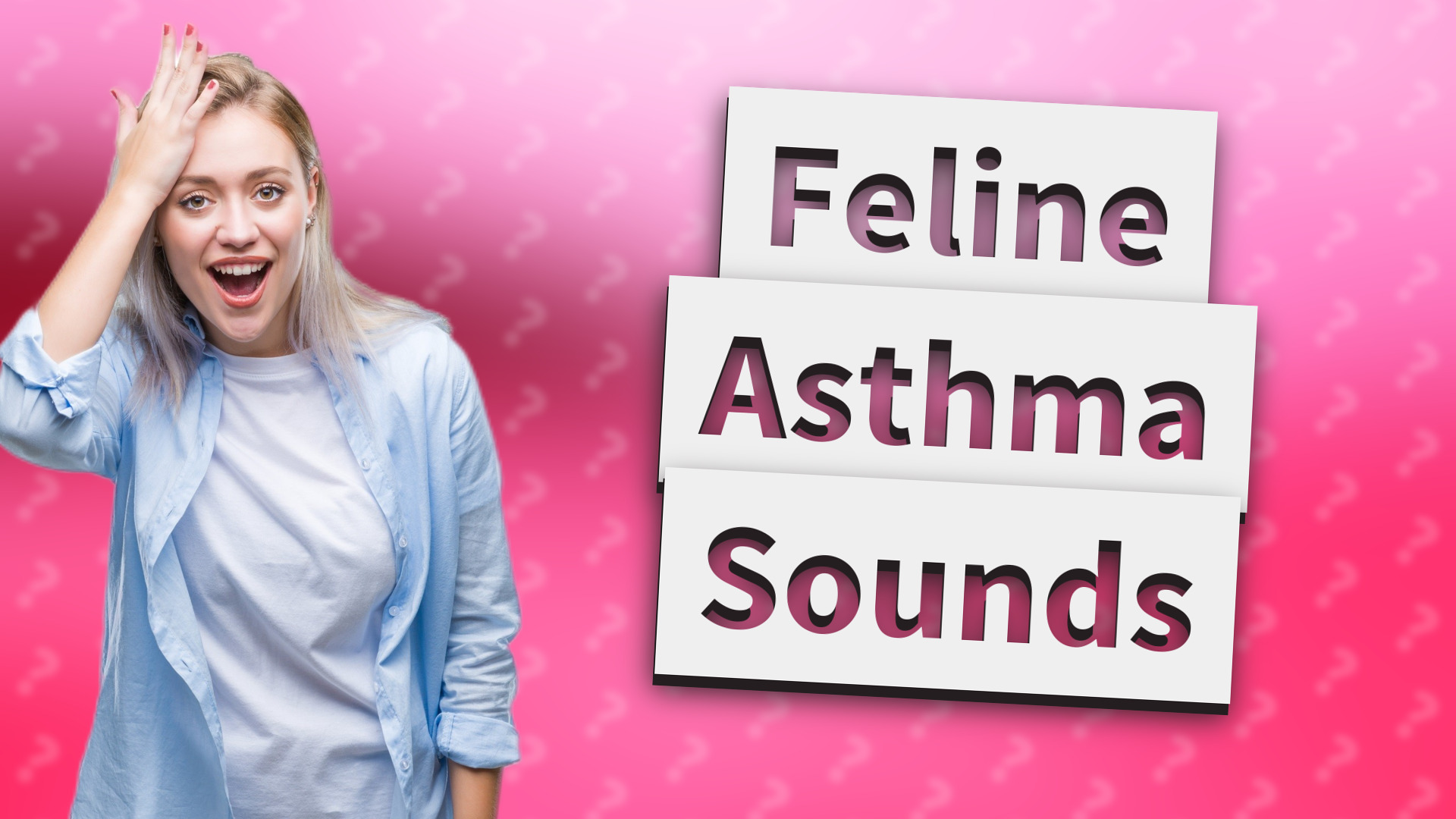 Feline Asthma Sounds