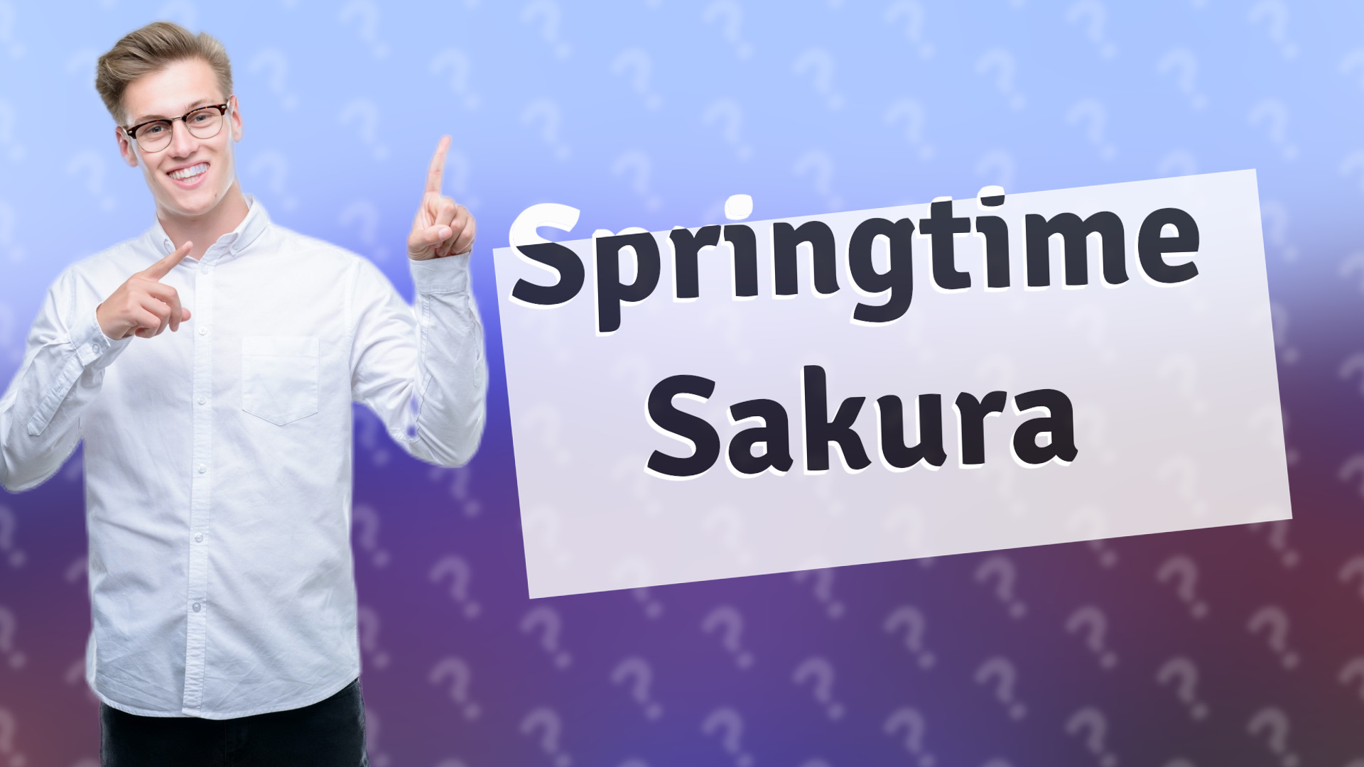 Springtime Sakura