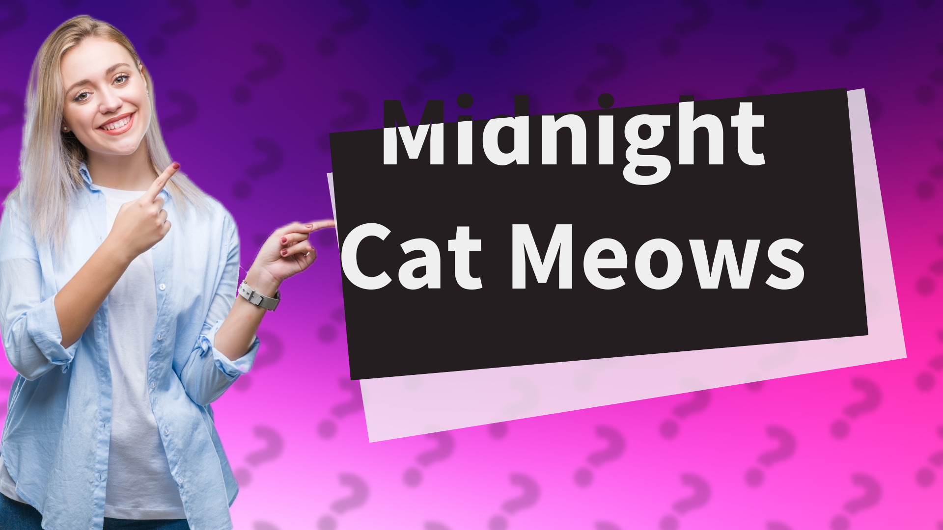 Midnight Cat Meows