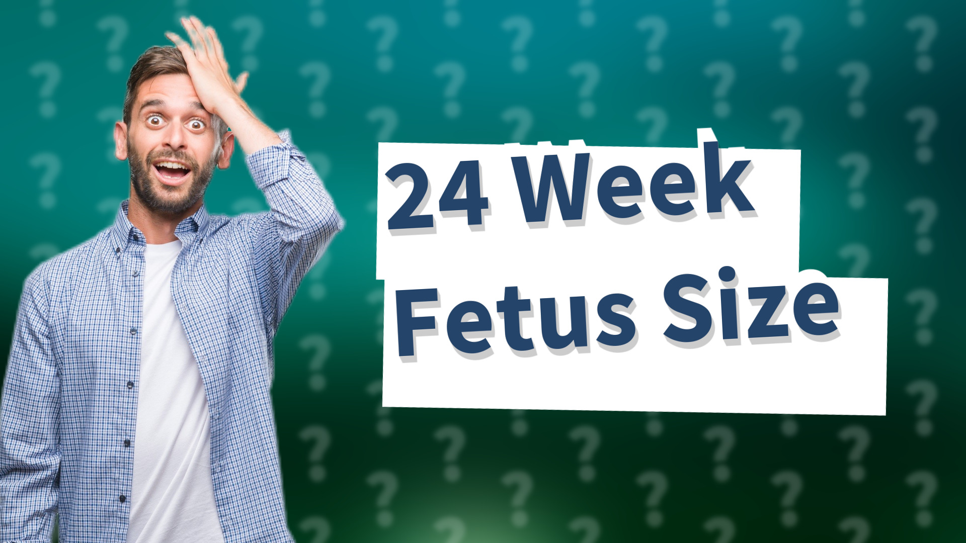 24 Week Fetus Size