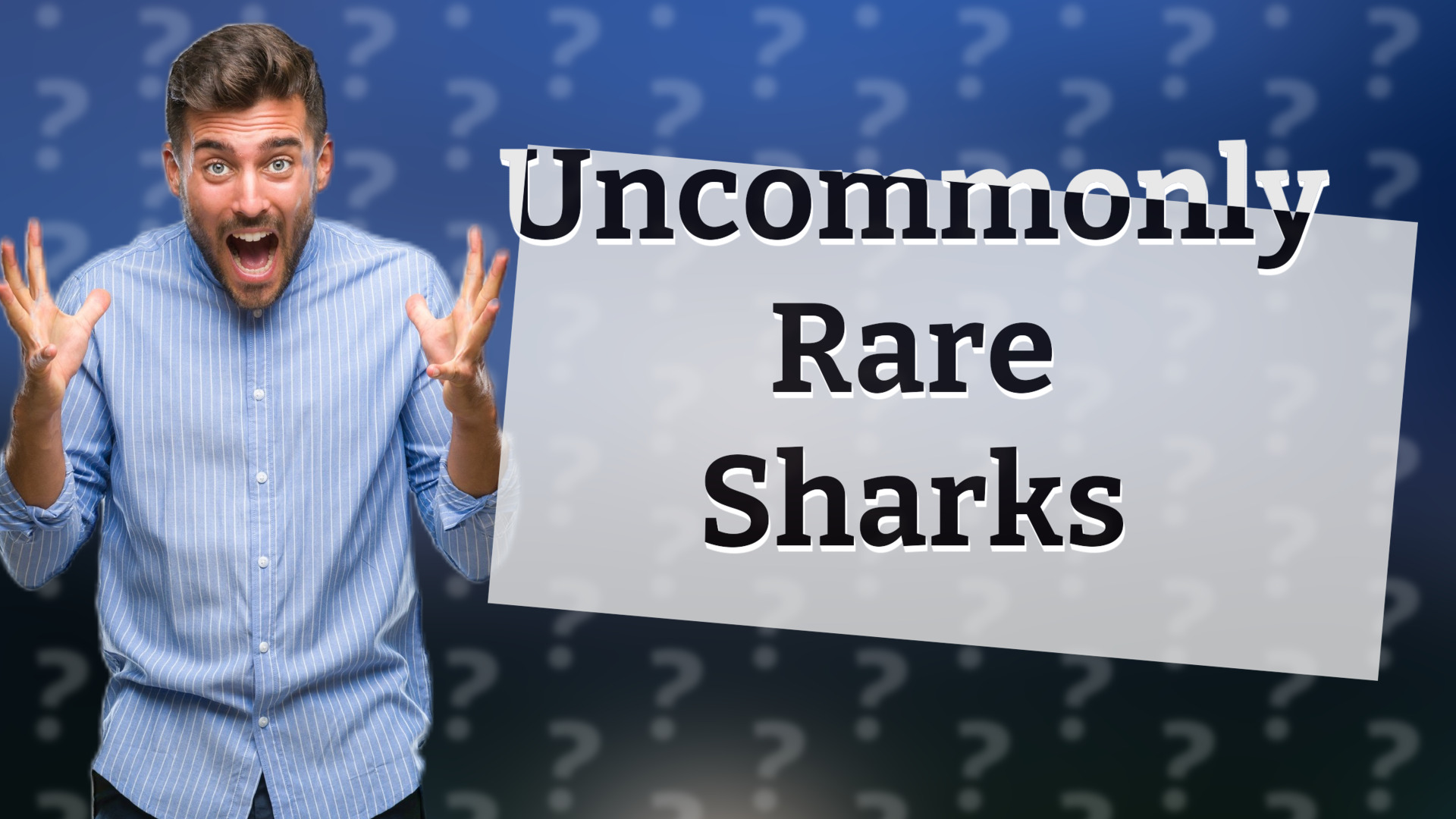 Uncommonly Rare Sharks