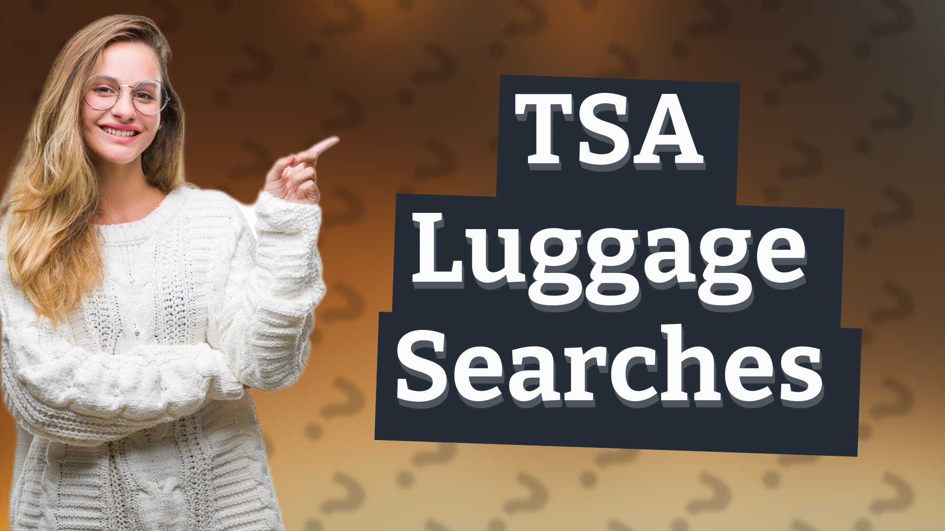 TSA Luggage Searches