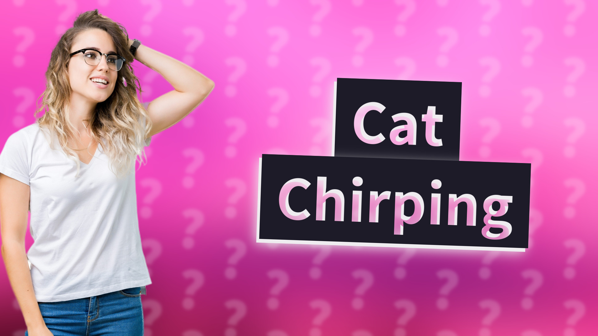 Cat Chirping