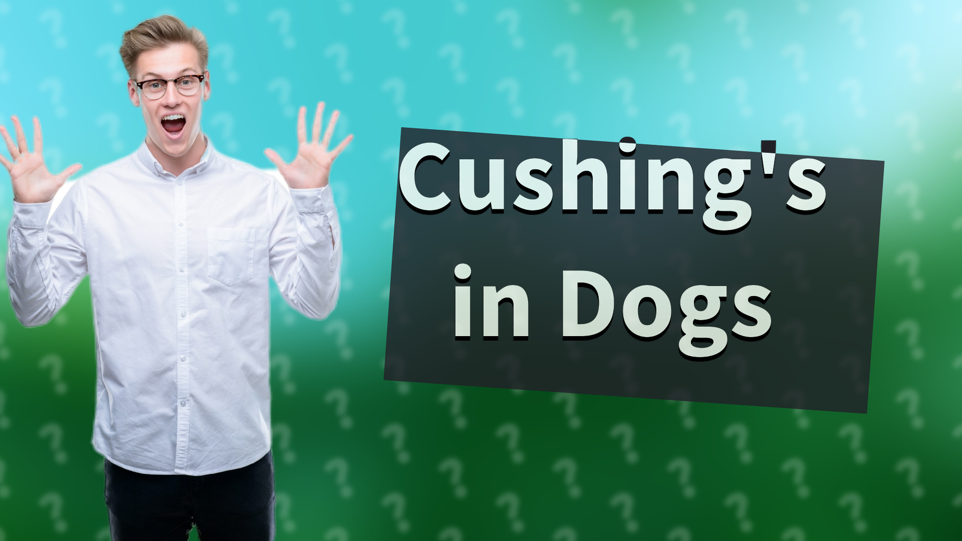 Cushing's in Dogs