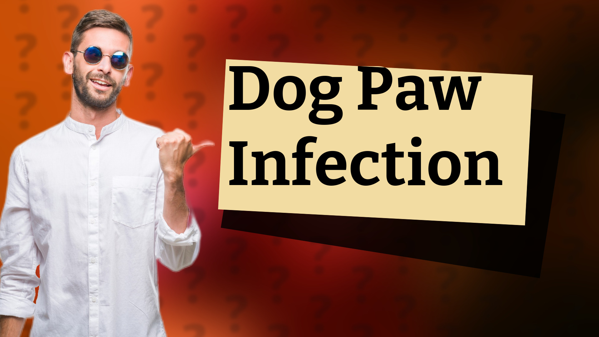 Dog Paw Infection