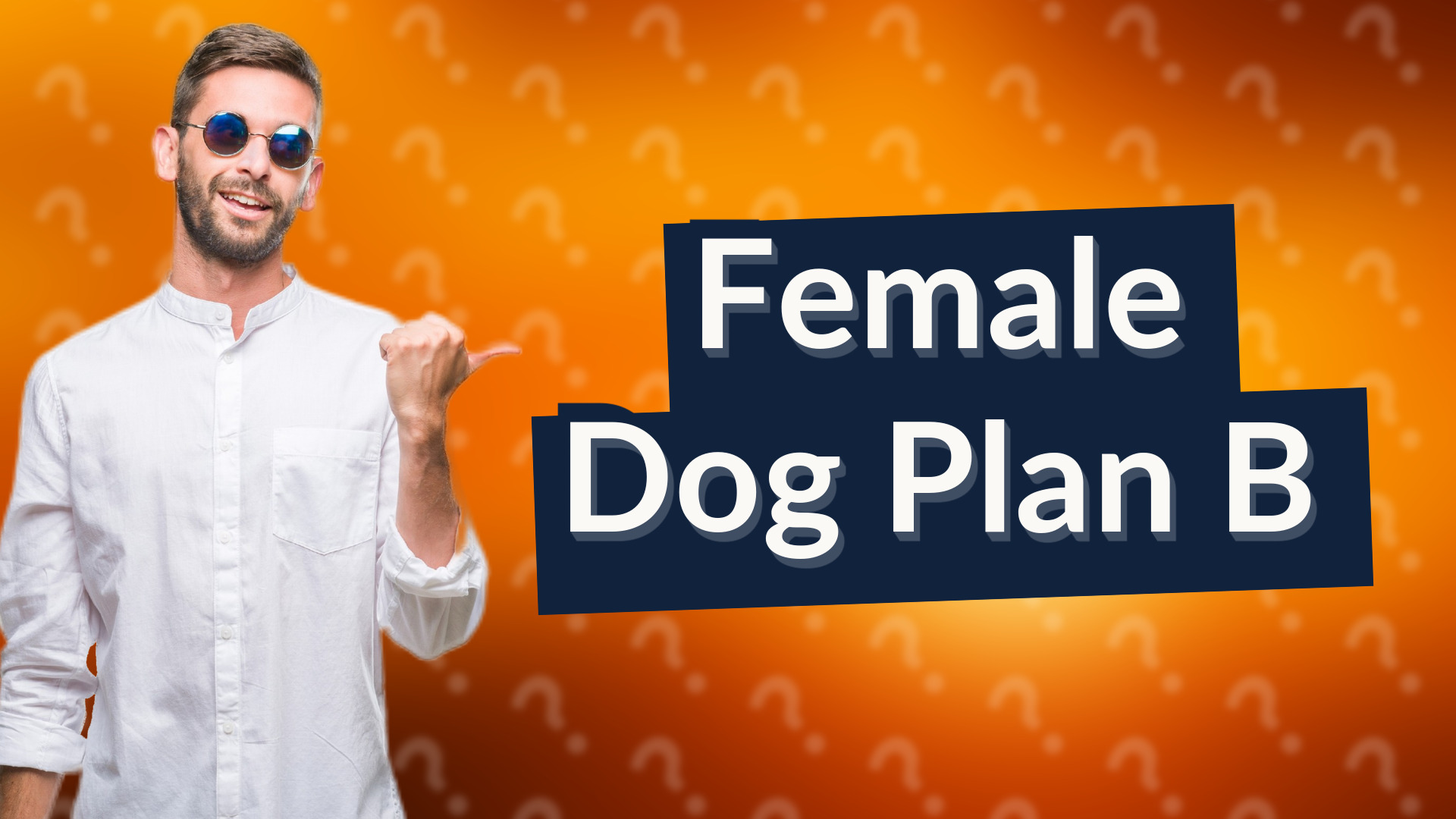 Female Dog Plan B