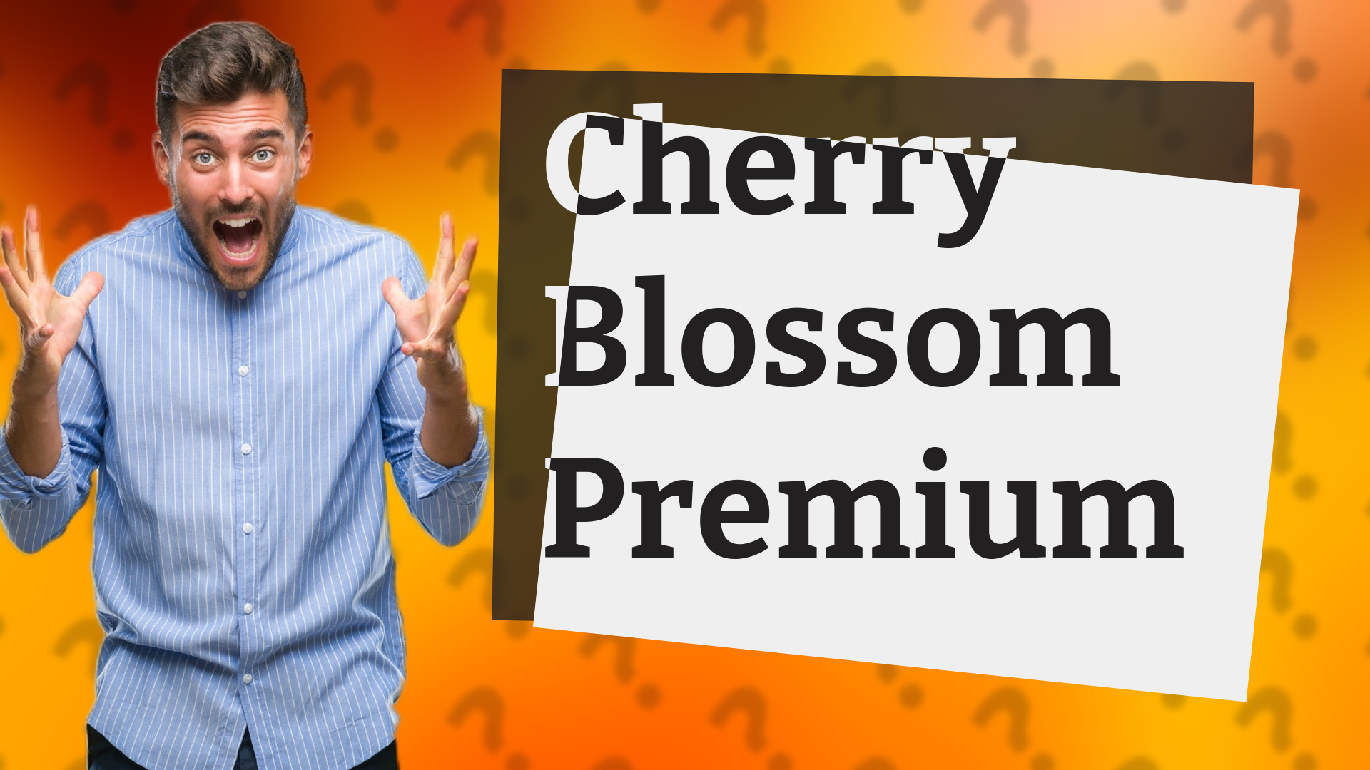 Cherry Blossom Premium