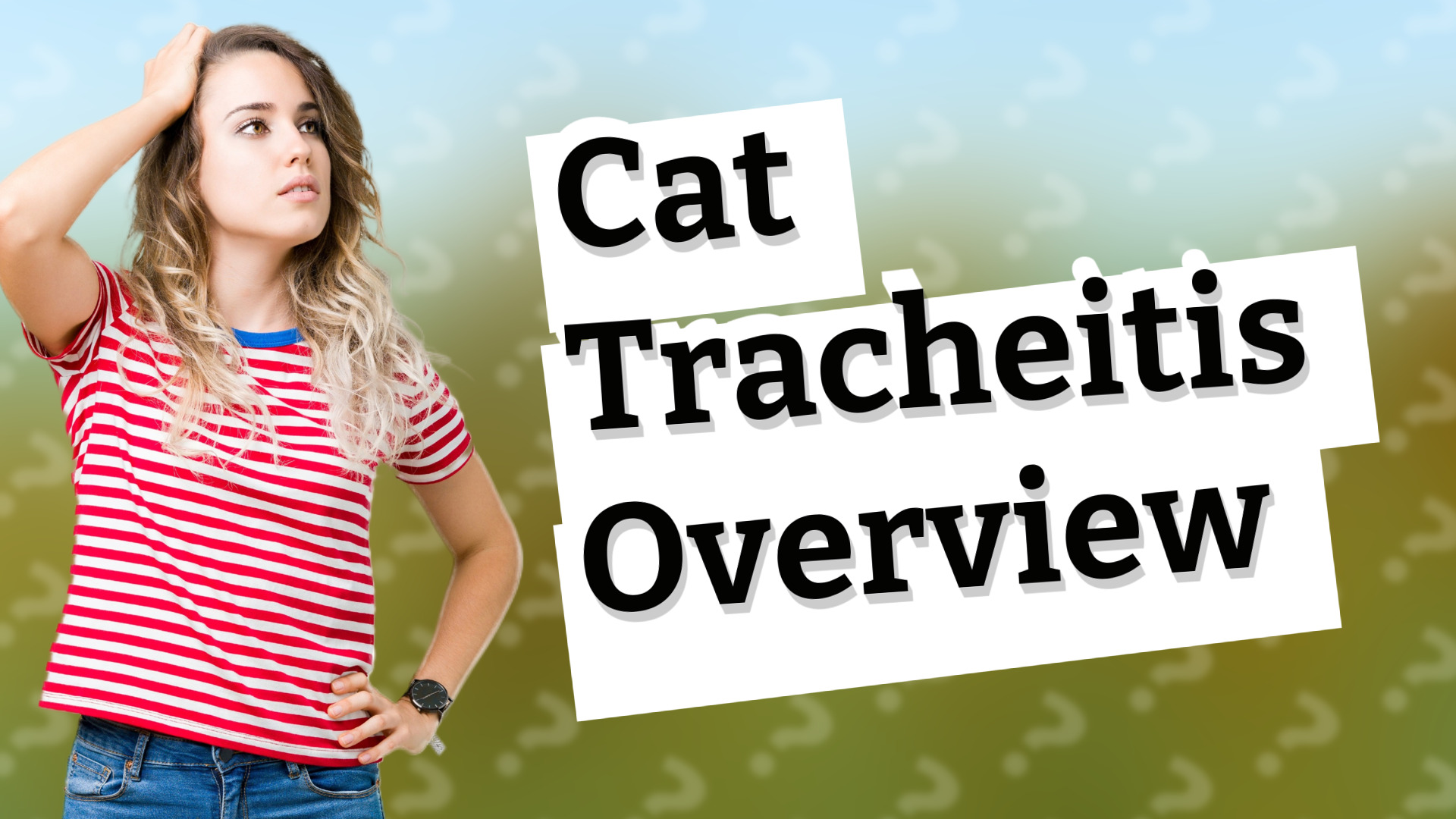 Cat Tracheitis Overview