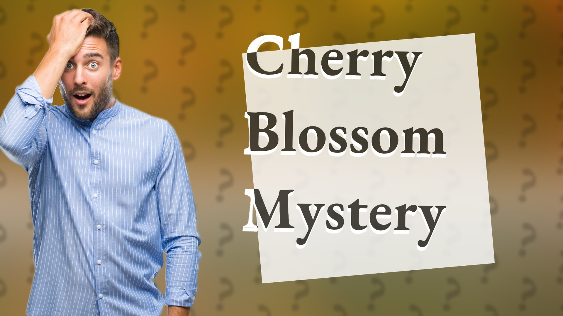 Cherry Blossom Mystery
