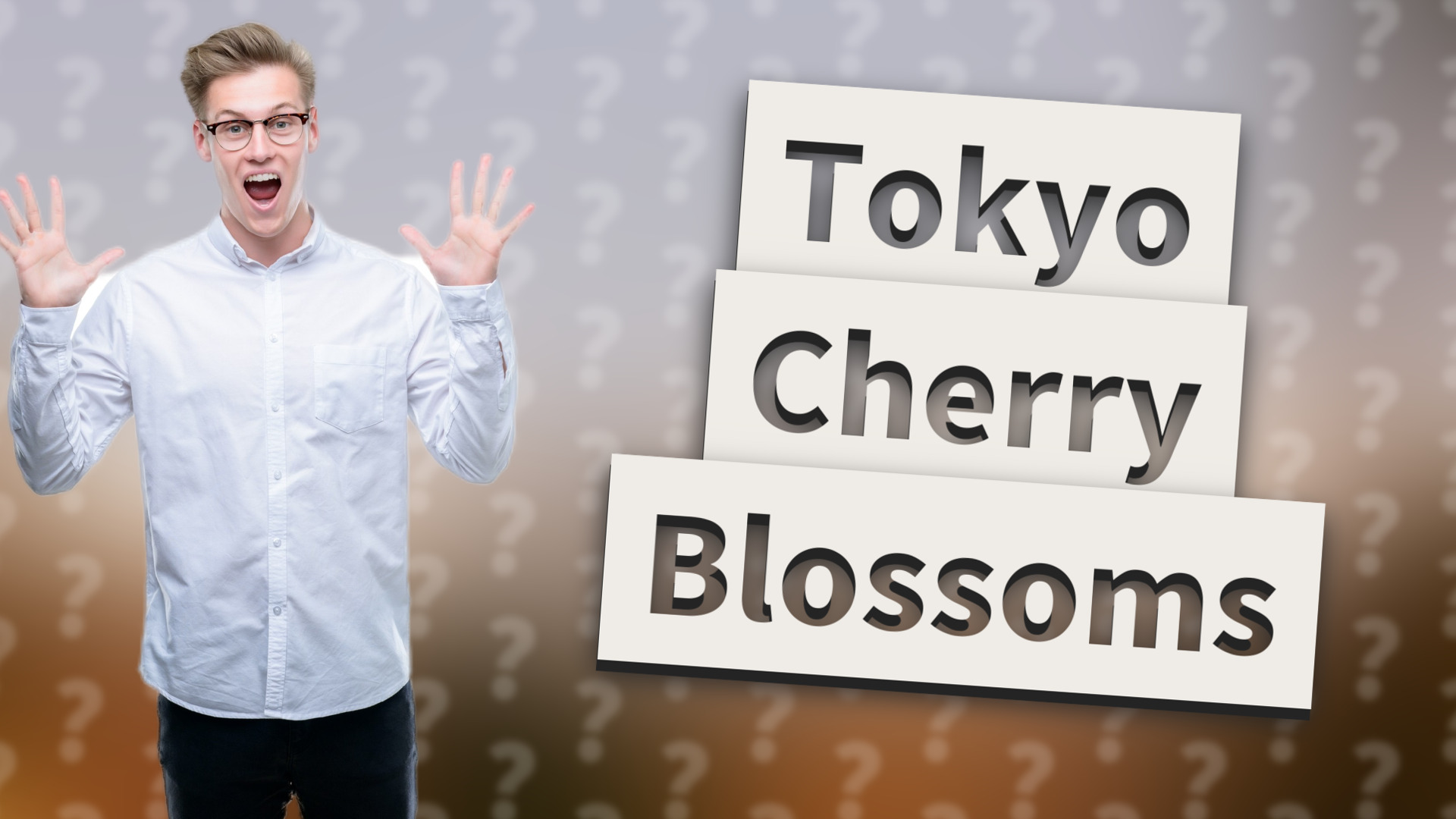 Tokyo Cherry Blossoms