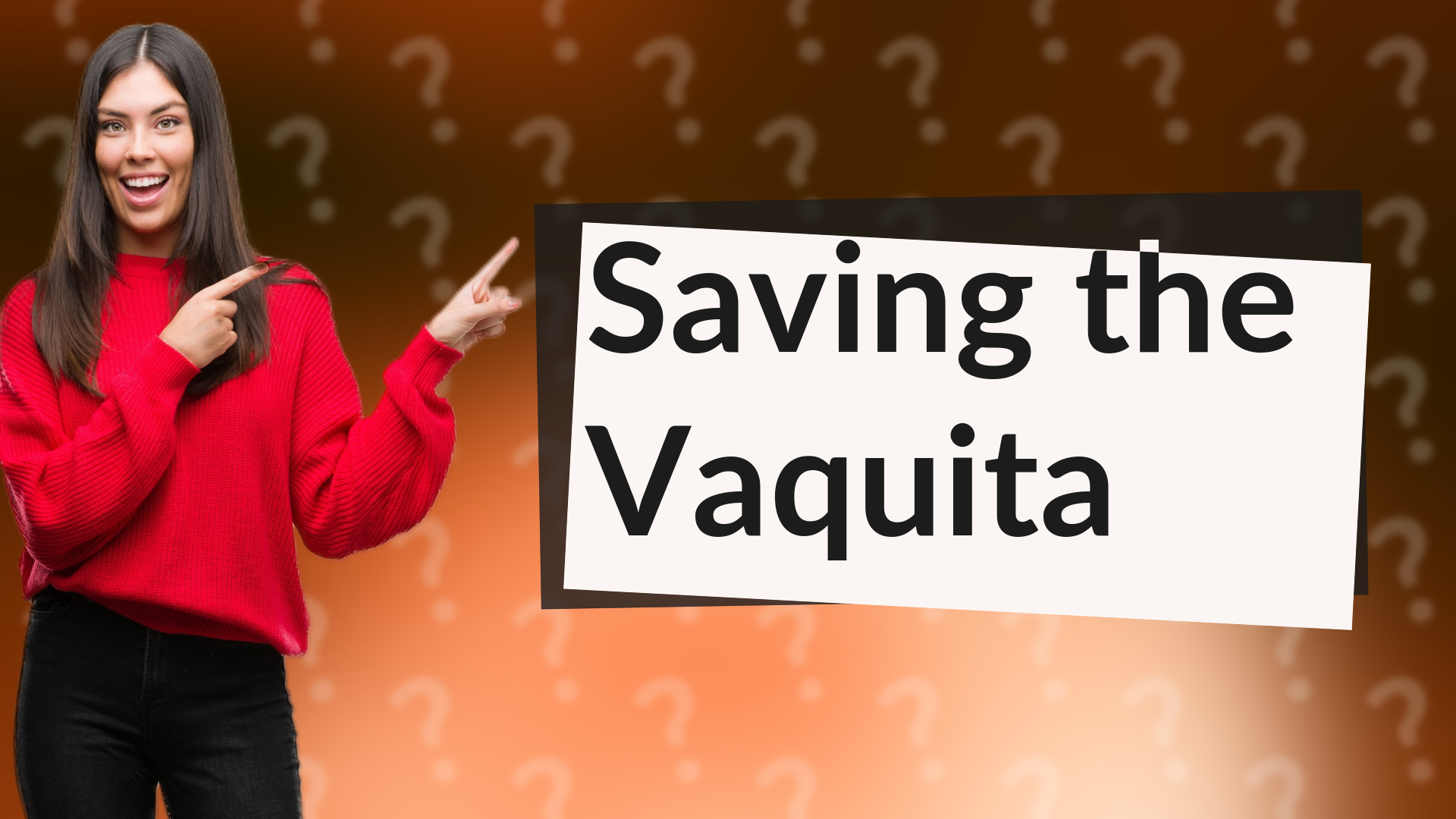 Saving the Vaquita
