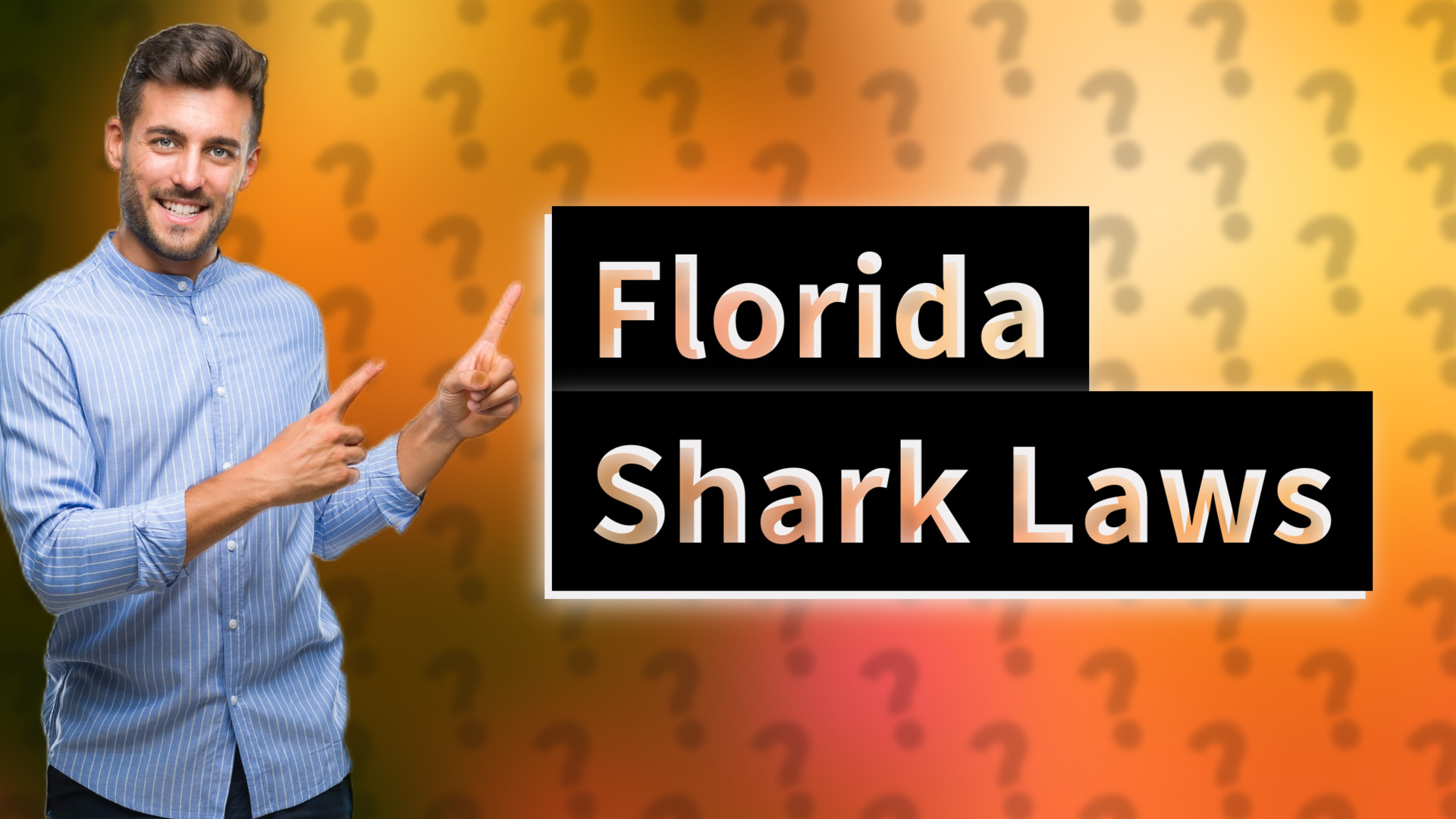 Florida Shark Laws