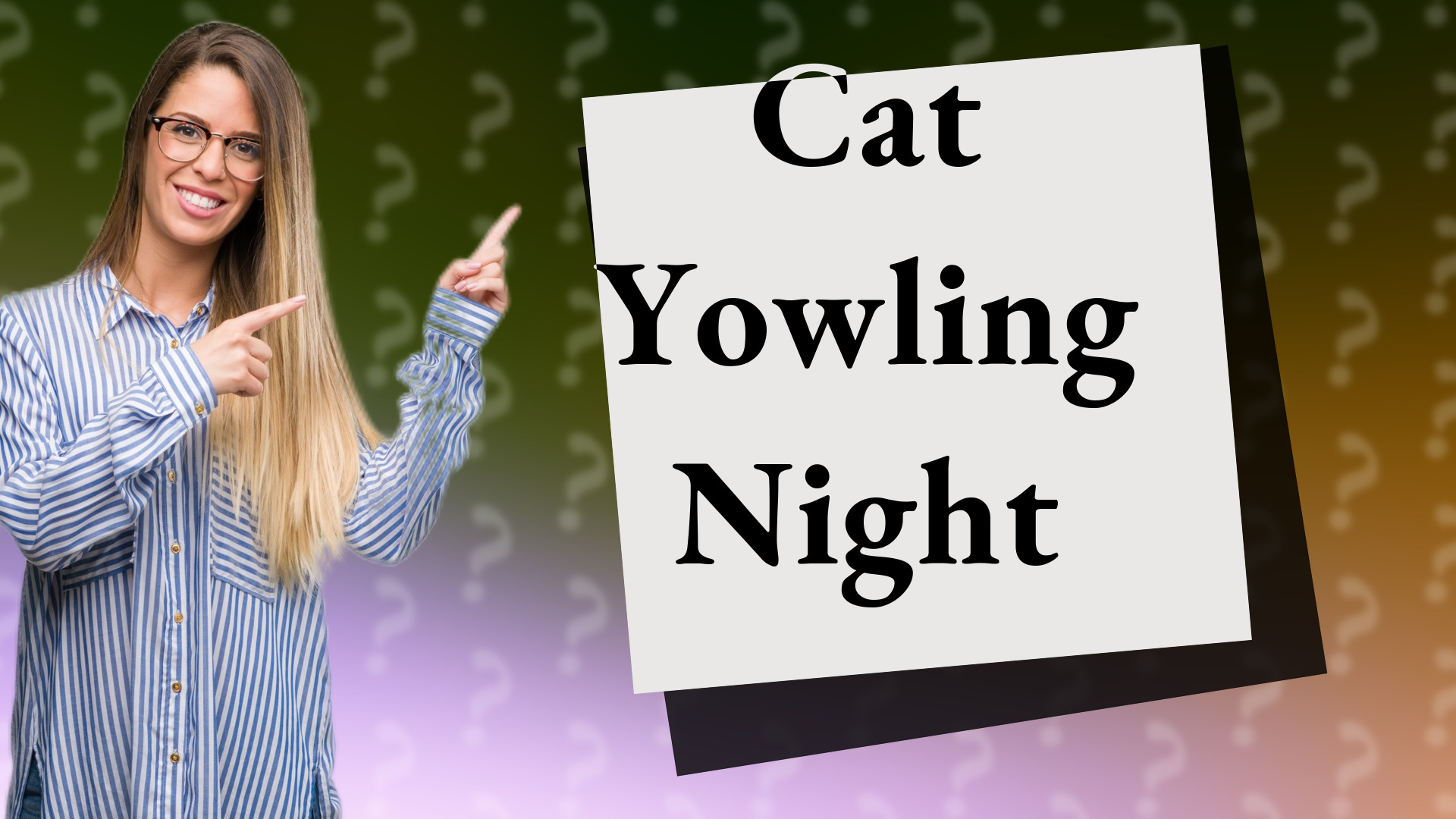 Cat Yowling Night