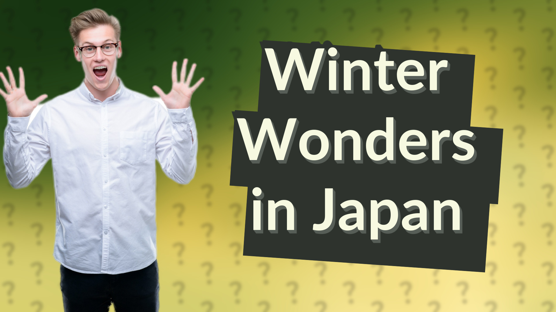 Winter Wonders in Japan