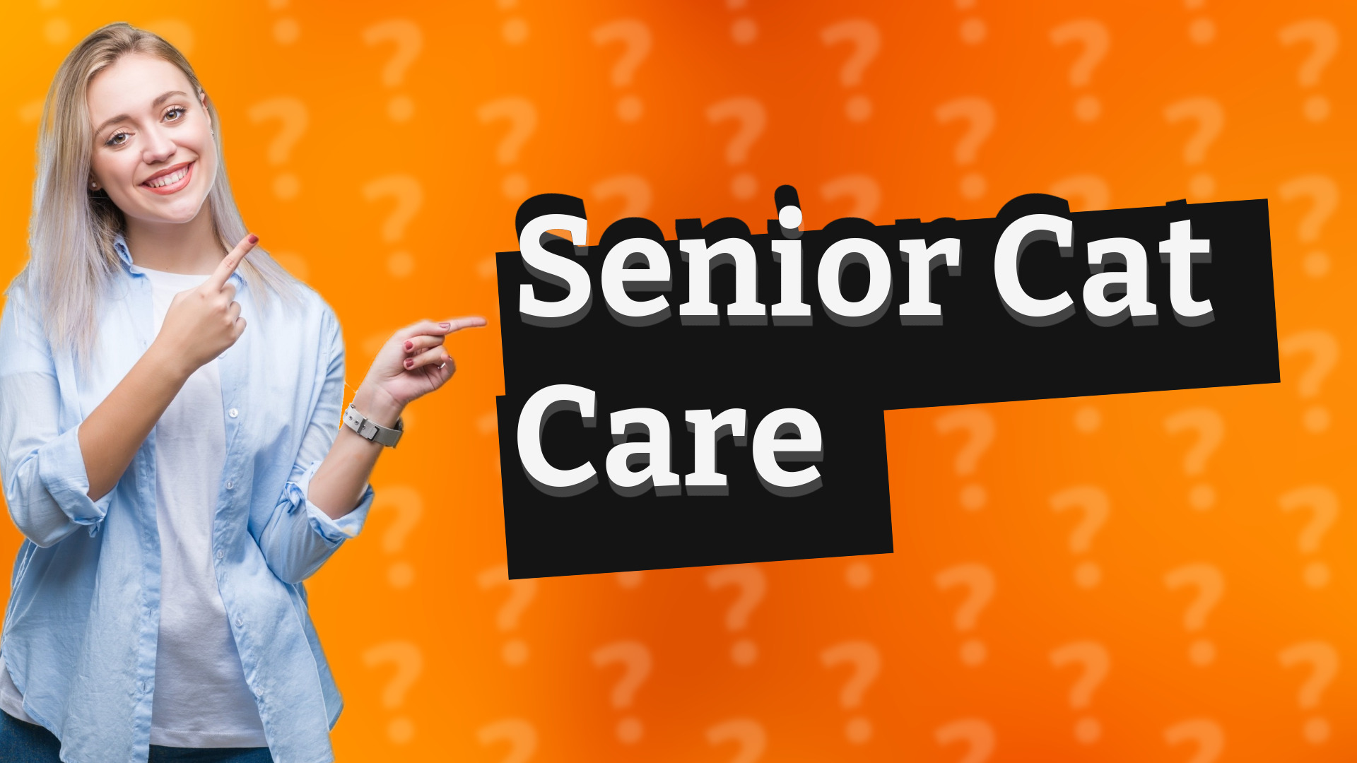 Senior Cat Care