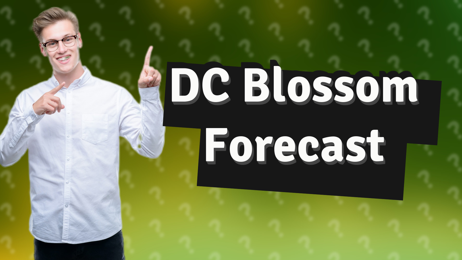 DC Blossom Forecast