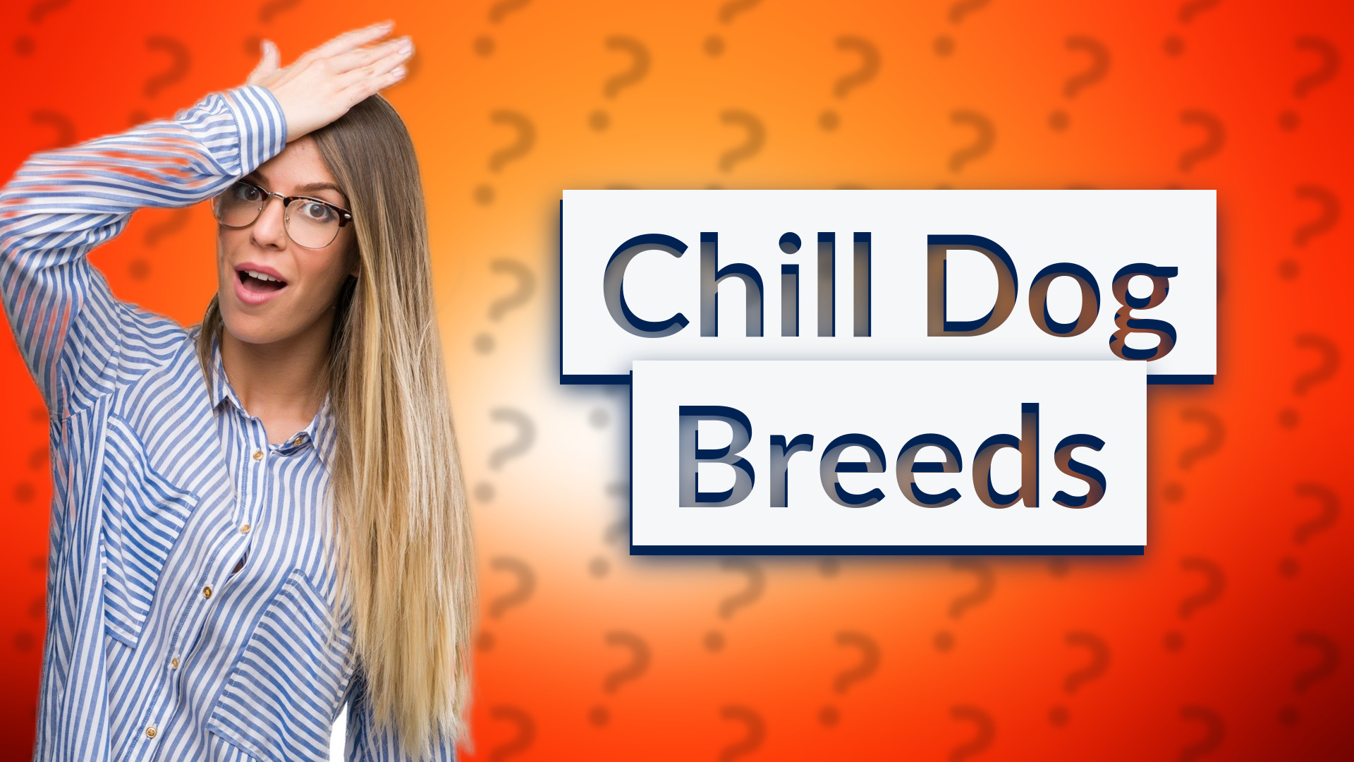 Chill Dog Breeds