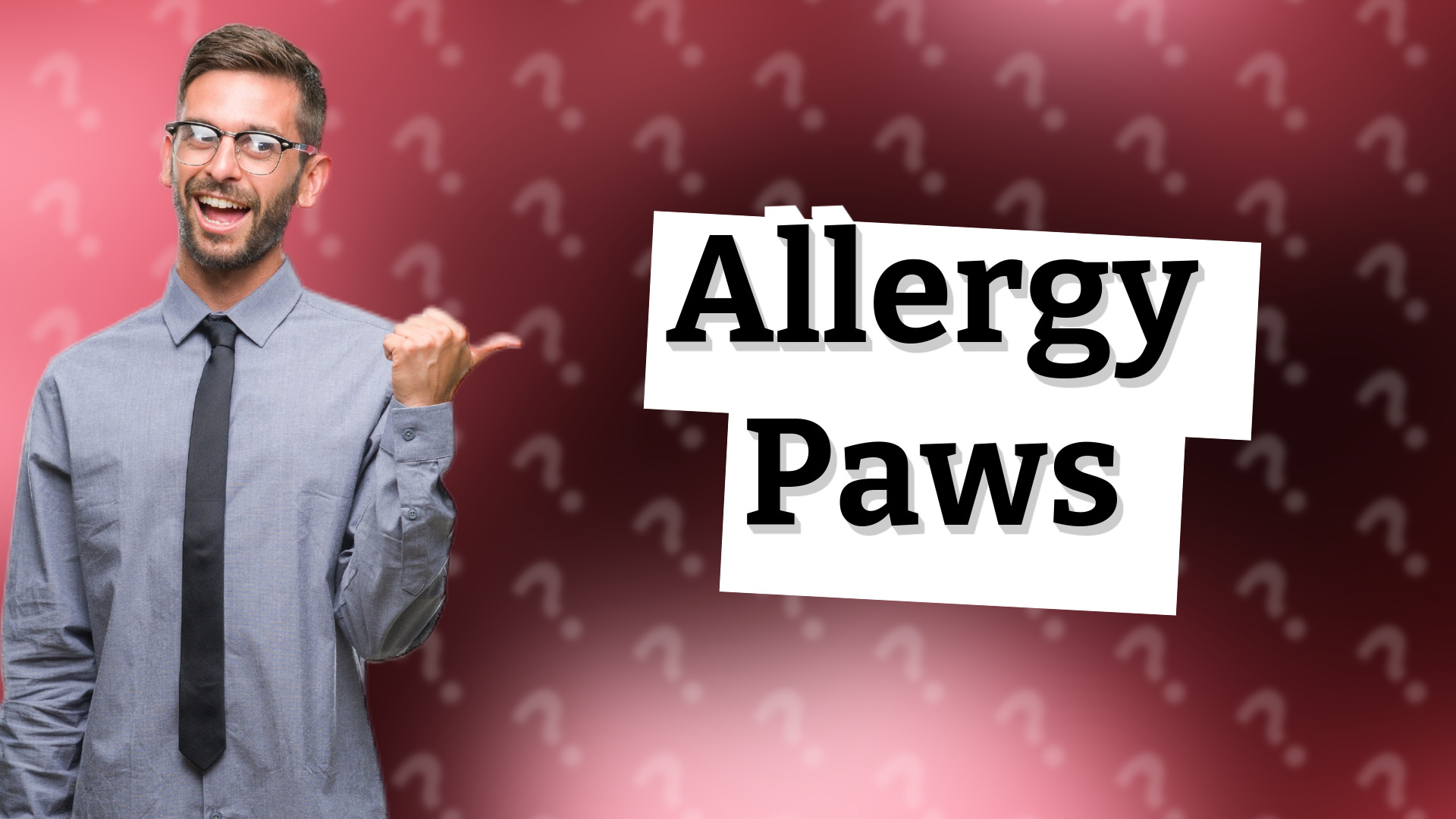 Allergy Paws