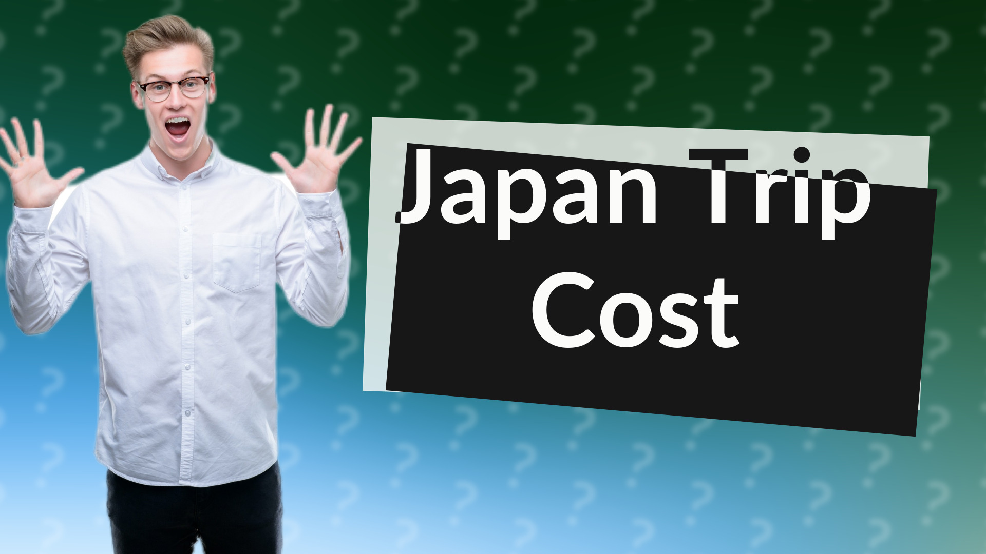 Japan Trip Cost