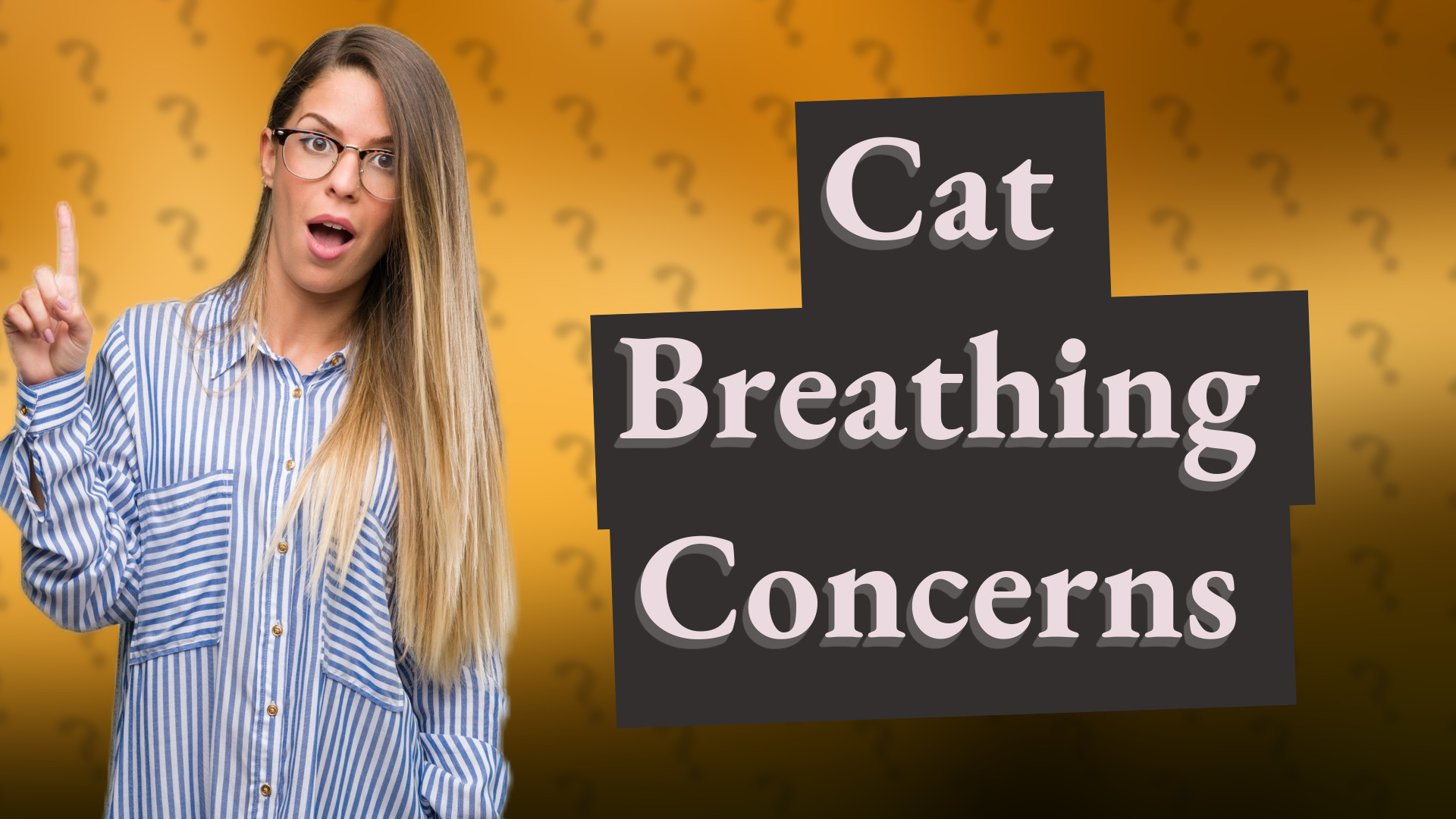 Cat Breathing Concerns