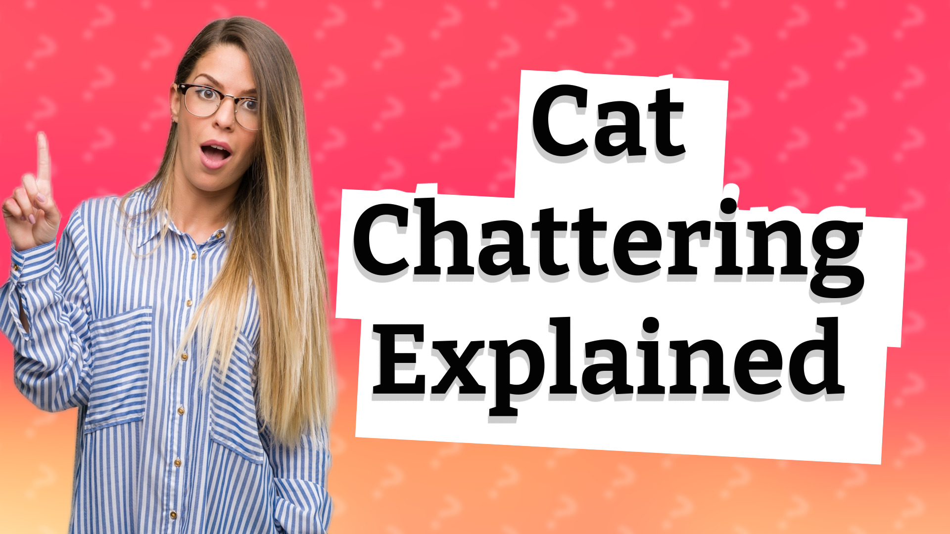 Cat Chattering Explained