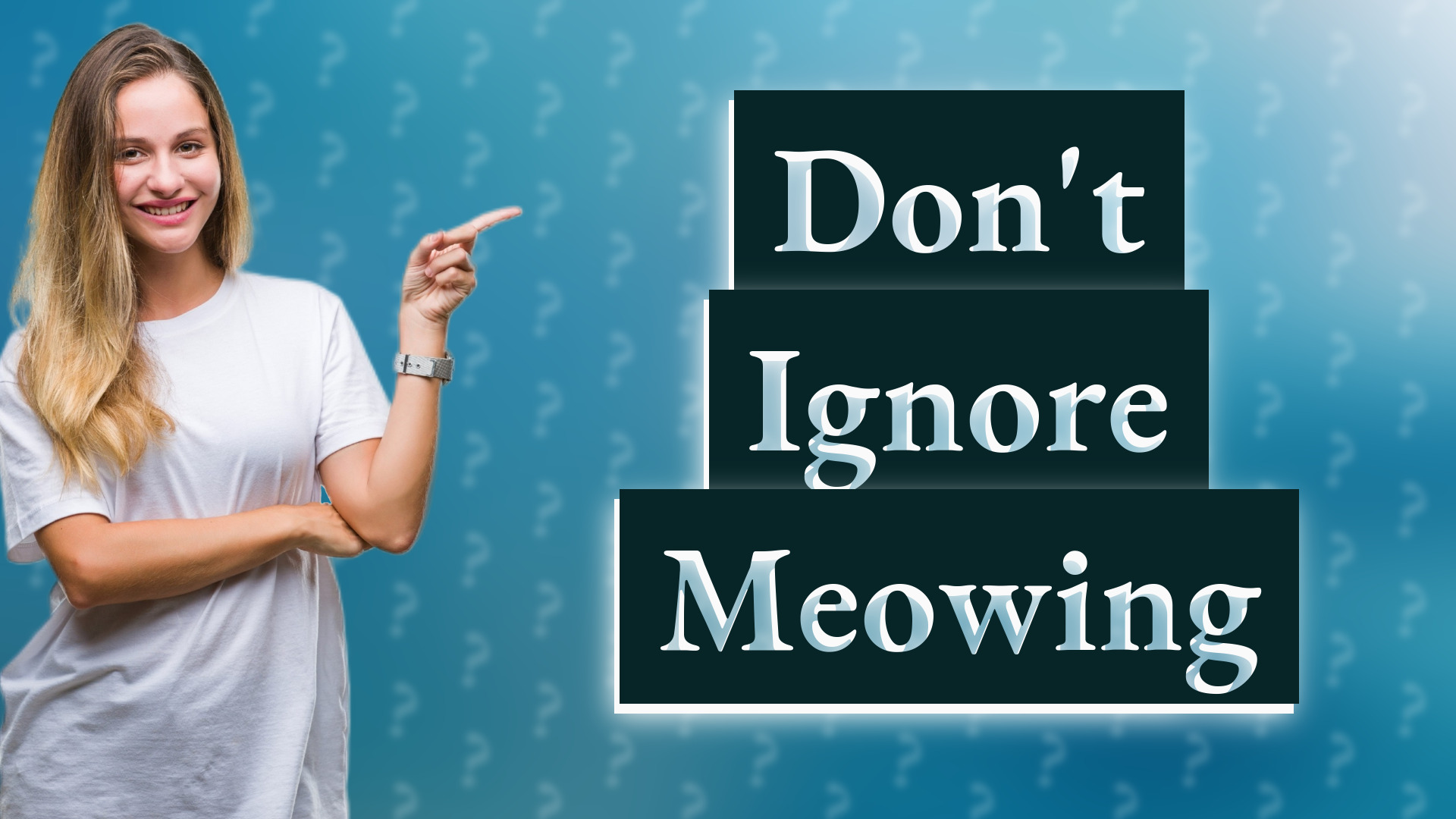 Don't Ignore Meowing