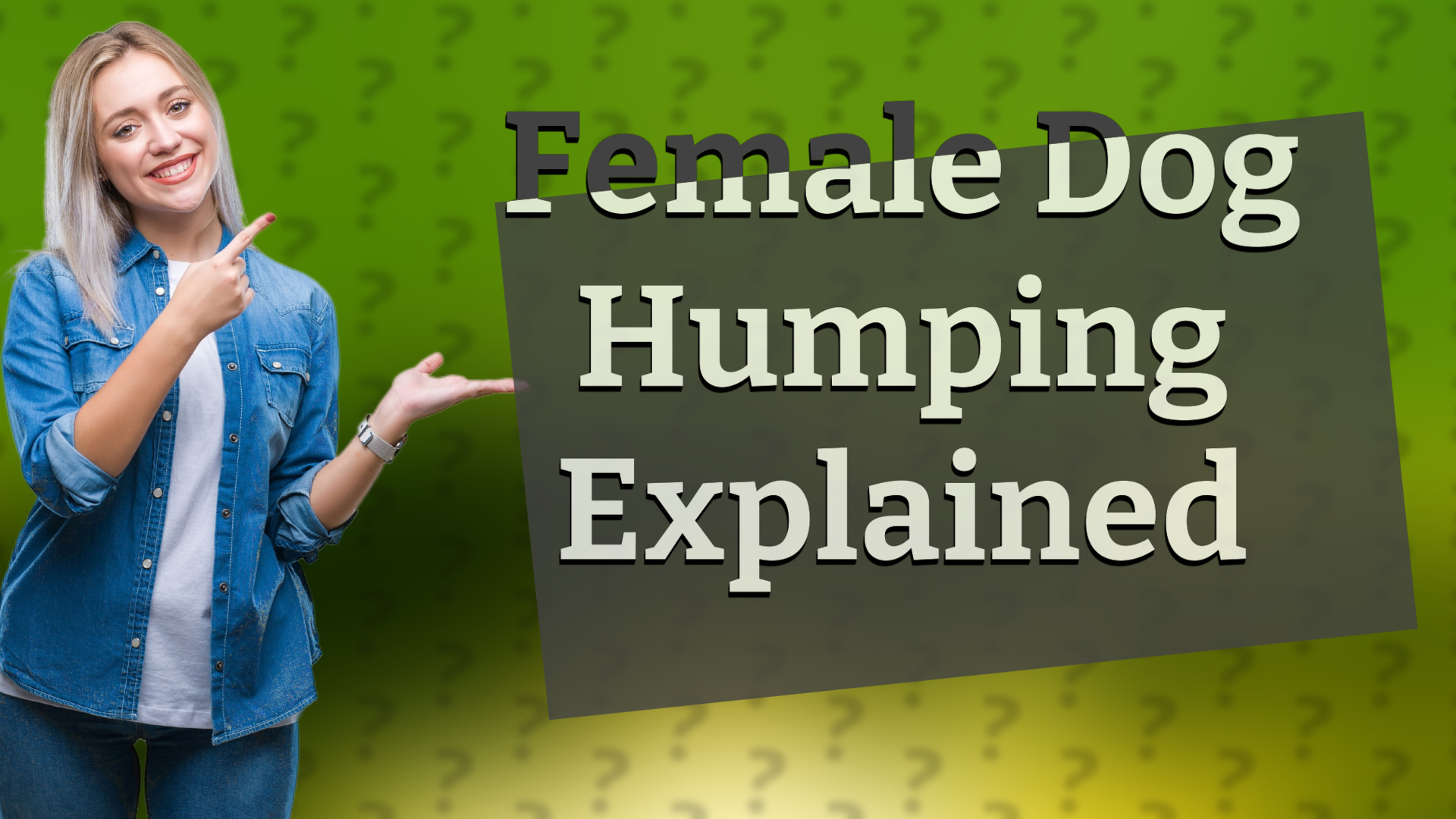 Female Dog Humping Explained