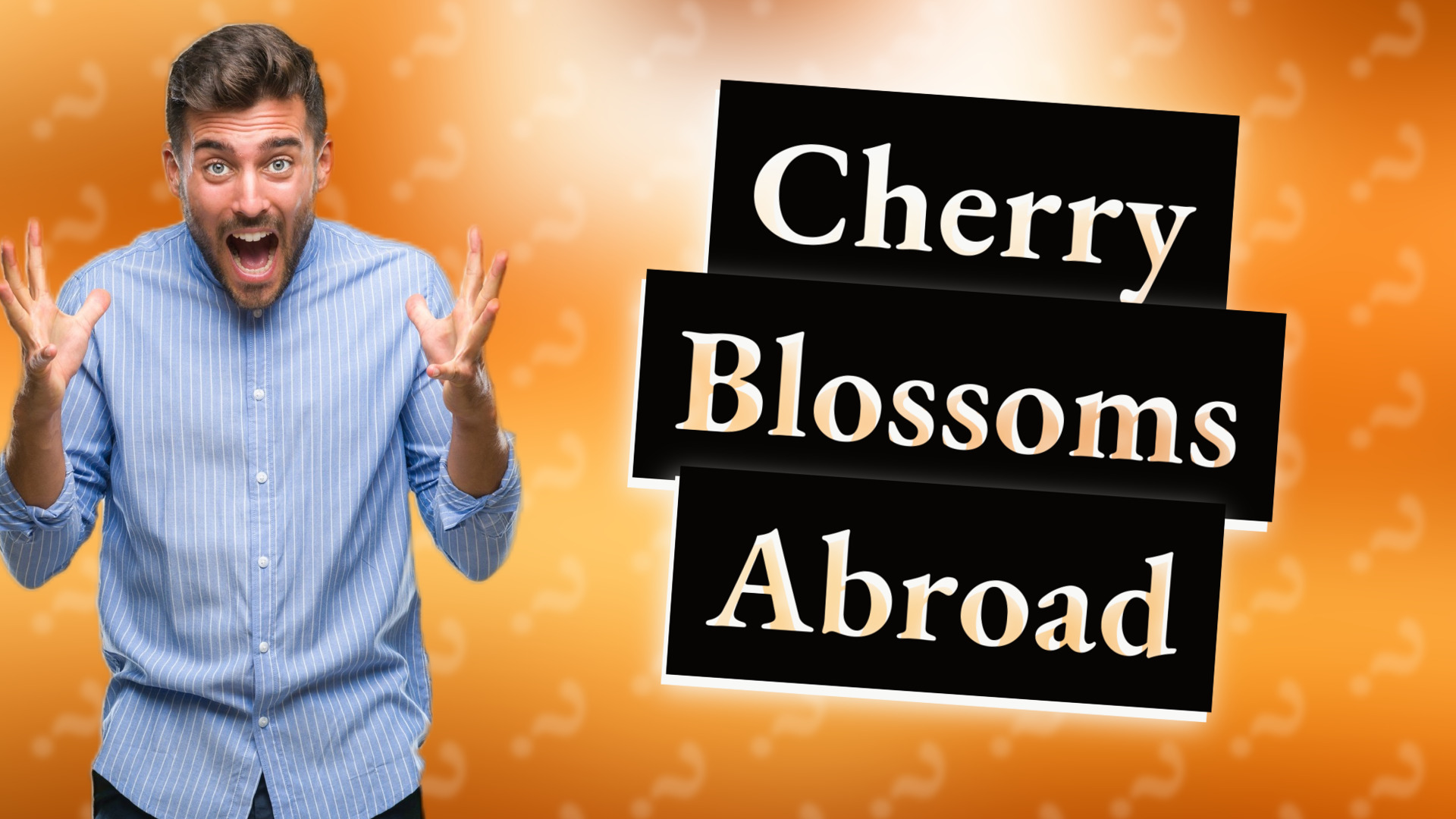 Cherry Blossoms Abroad