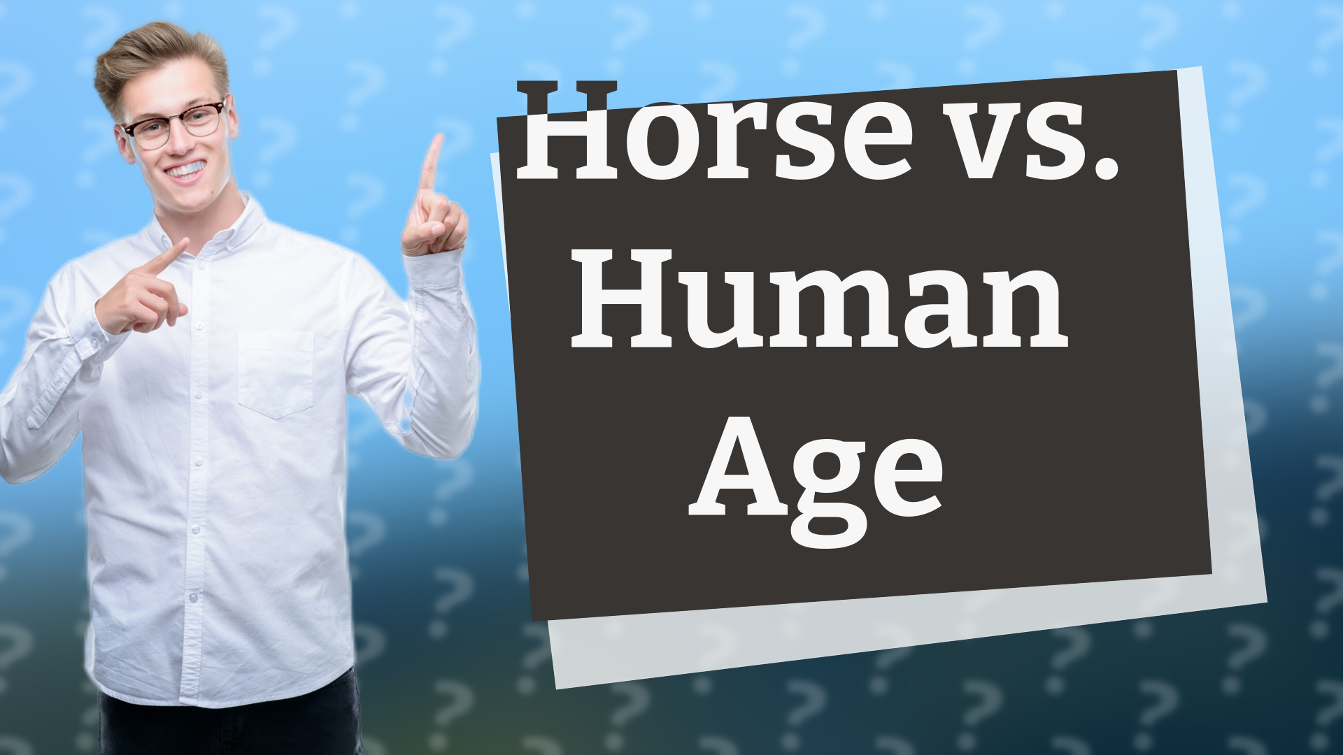Horse vs. Human Age