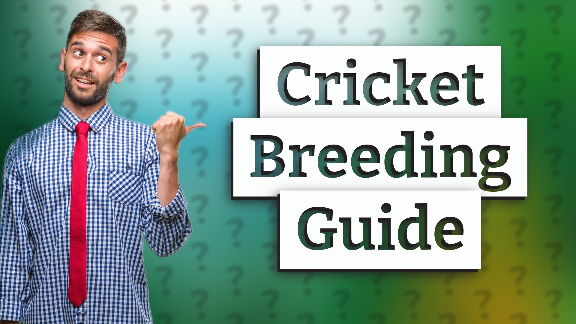 Cricket Breeding Guide