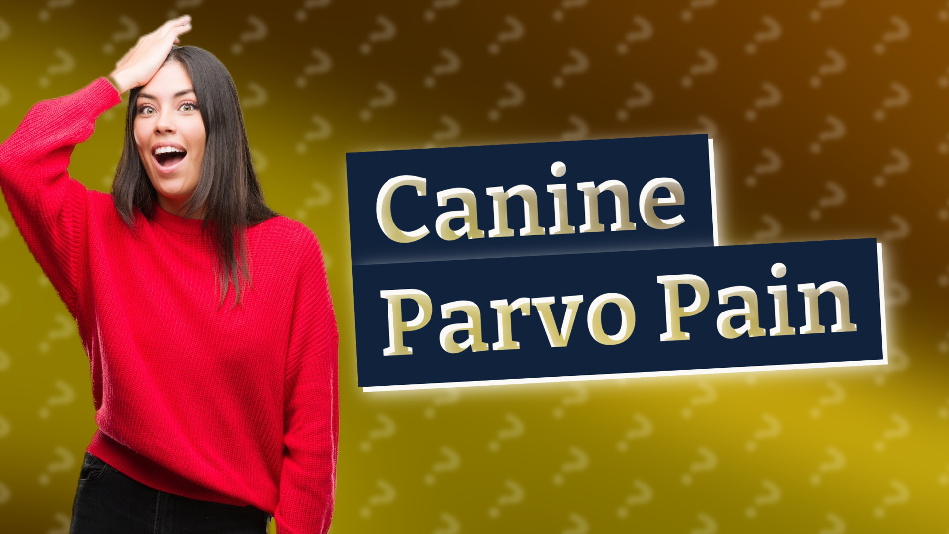 Canine Parvo Pain
