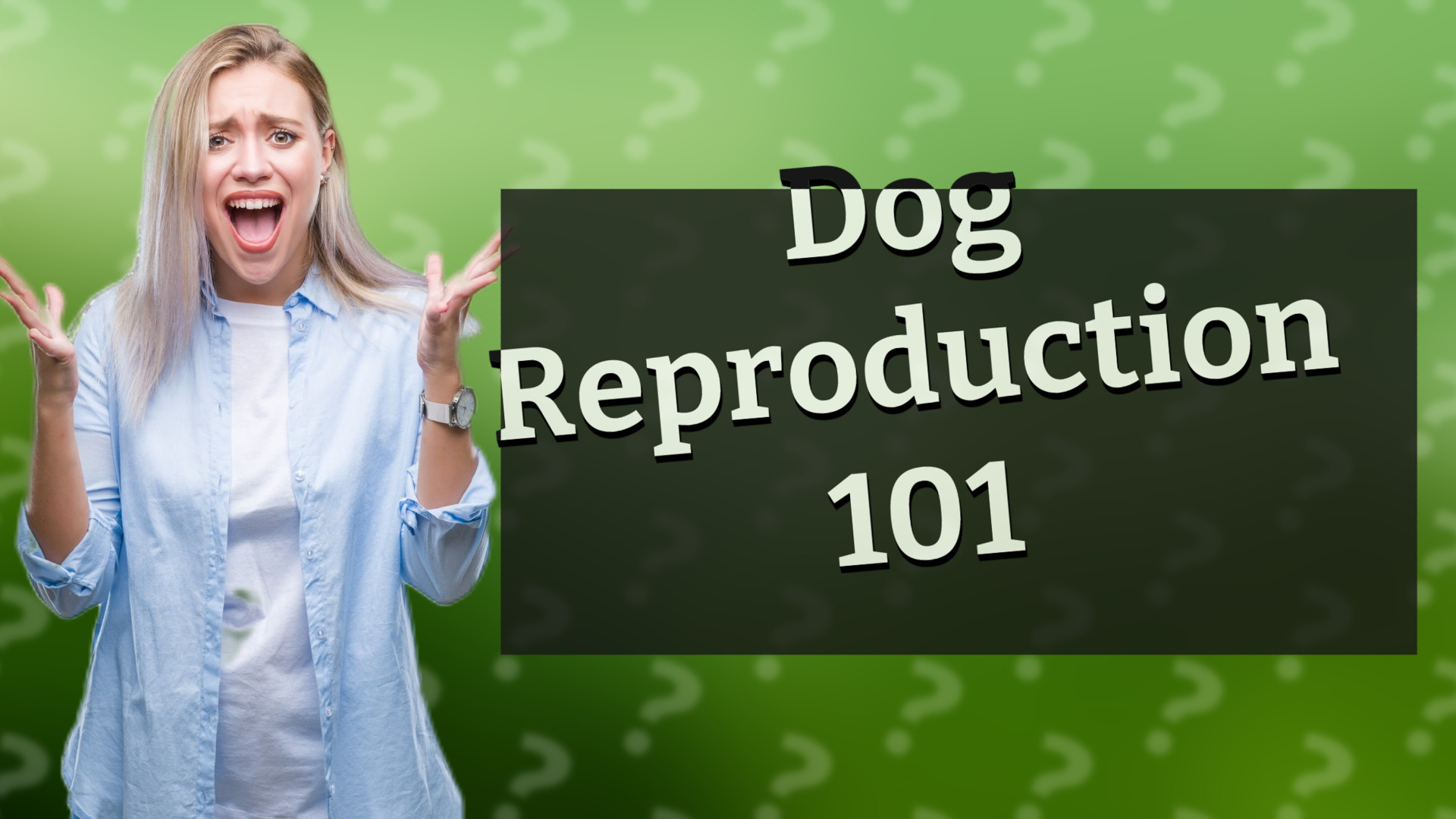Dog Reproduction 101