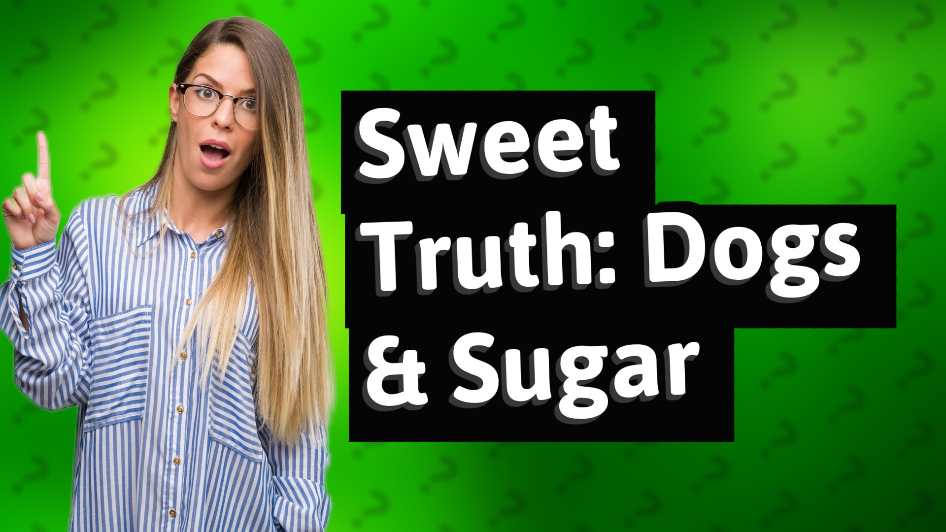Sweet Truth: Dogs & Sugar
