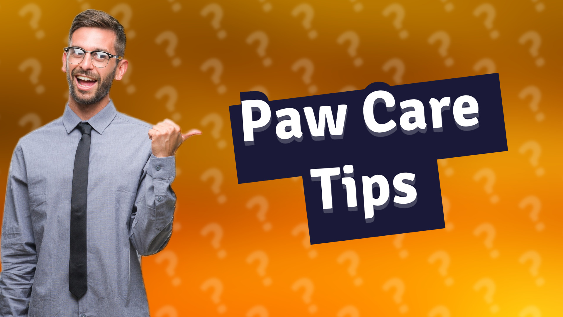 Paw Care Tips