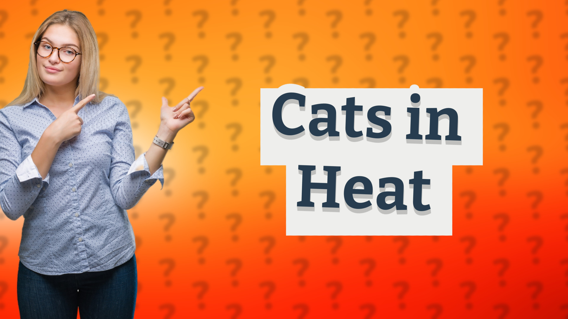 Cats in Heat
